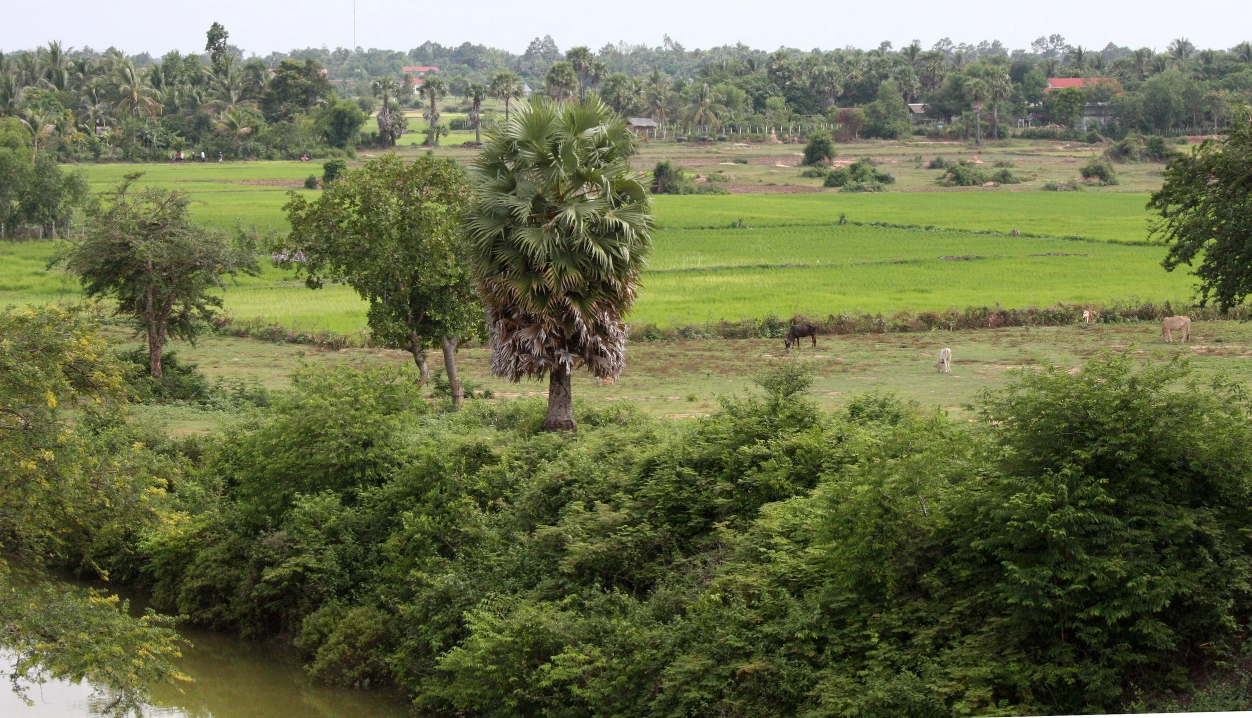 SIEM REAP CAMBODIA (25).JPG