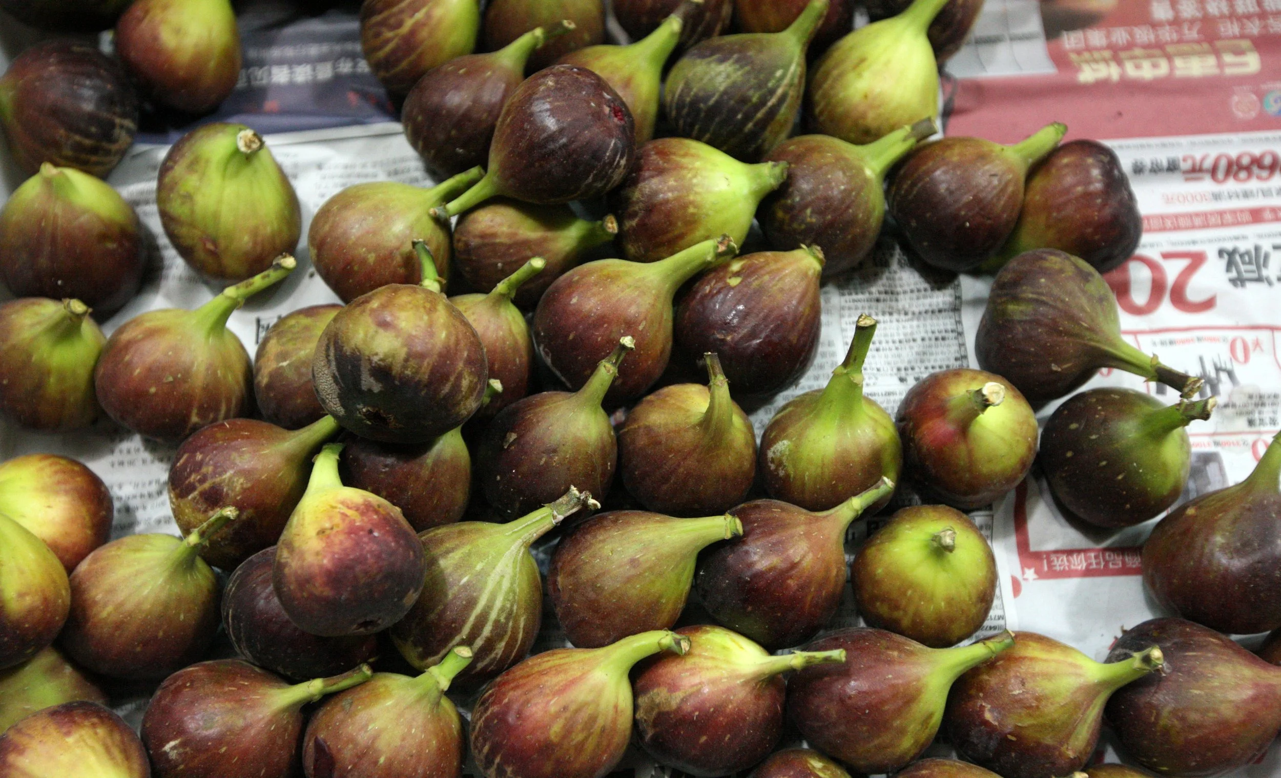 CRACK PASTA WITH JASON (105).JPG