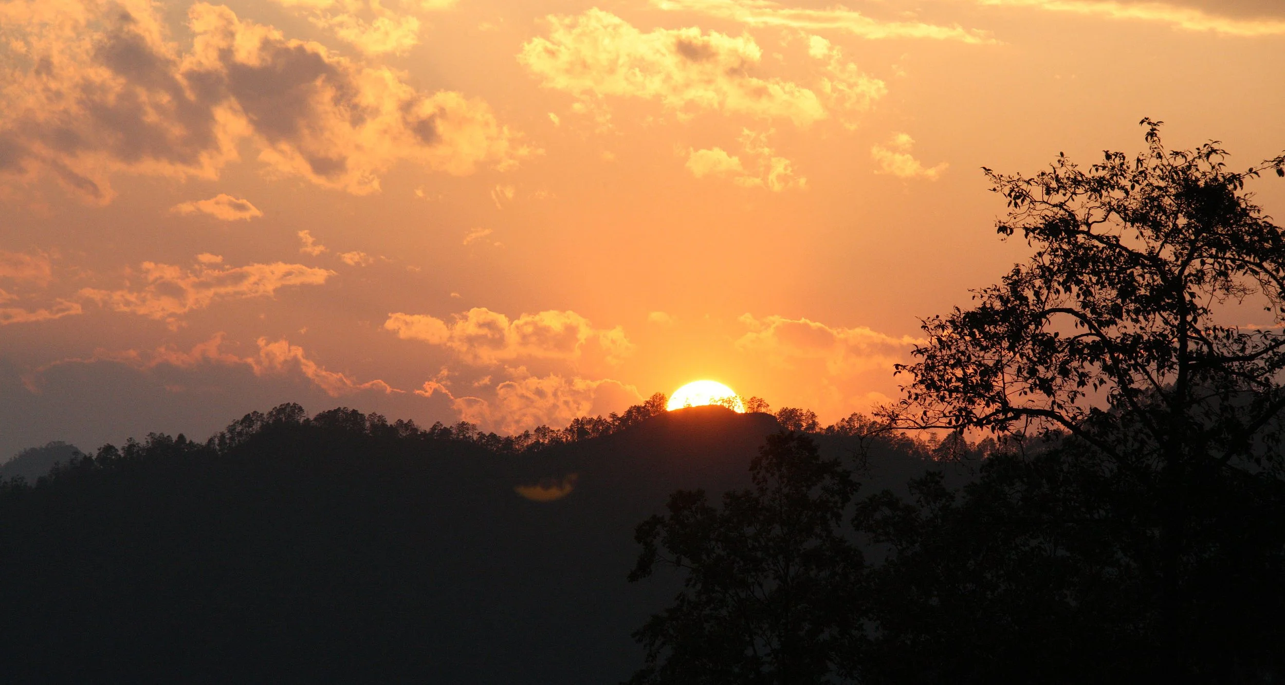 YUNNAN - WULIANGSHAN NATURE RESERVE AND SURROUNDING REGION (57).JPG