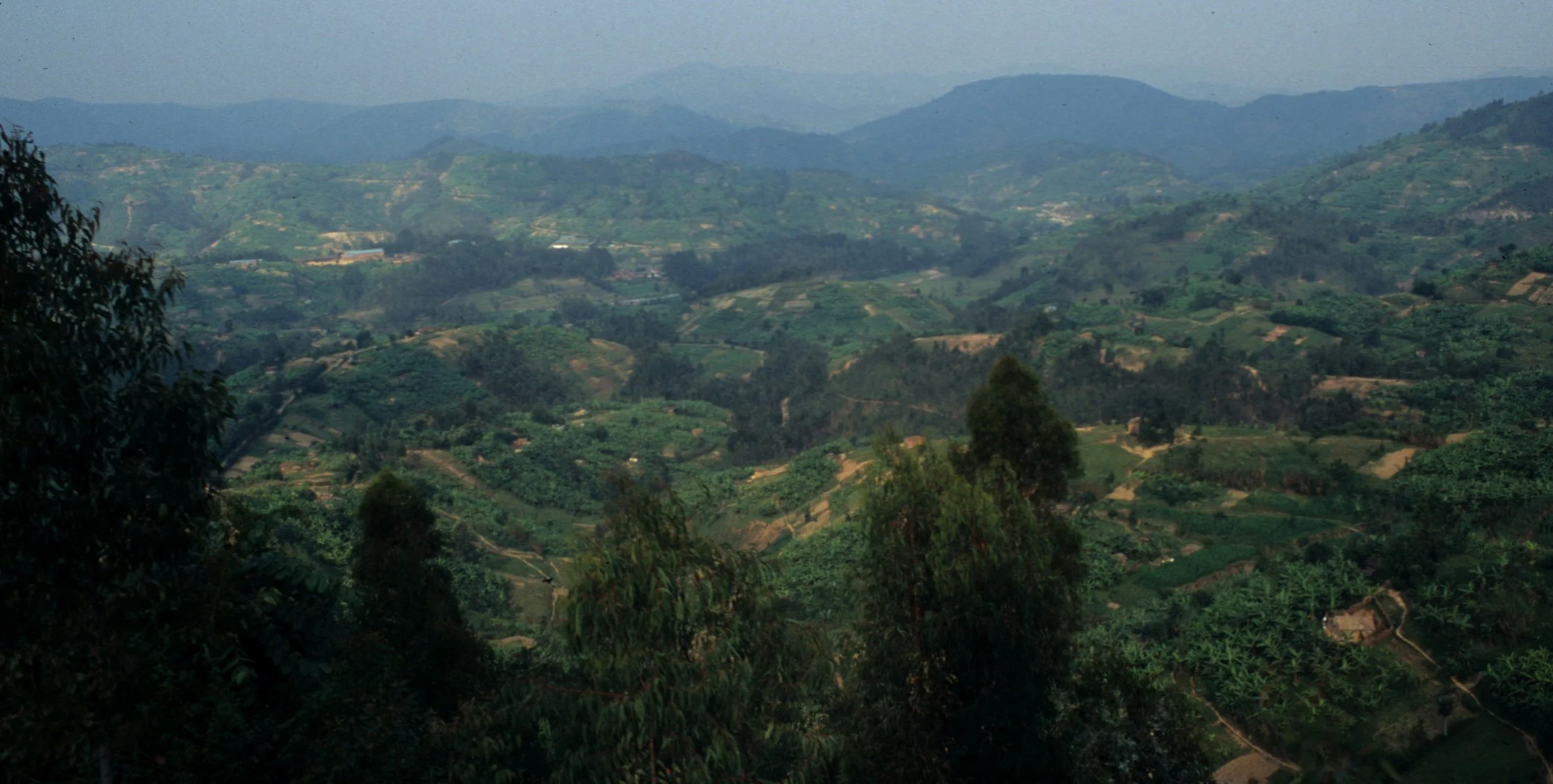 RWANDA - COUNTRYSIDE D.jpg