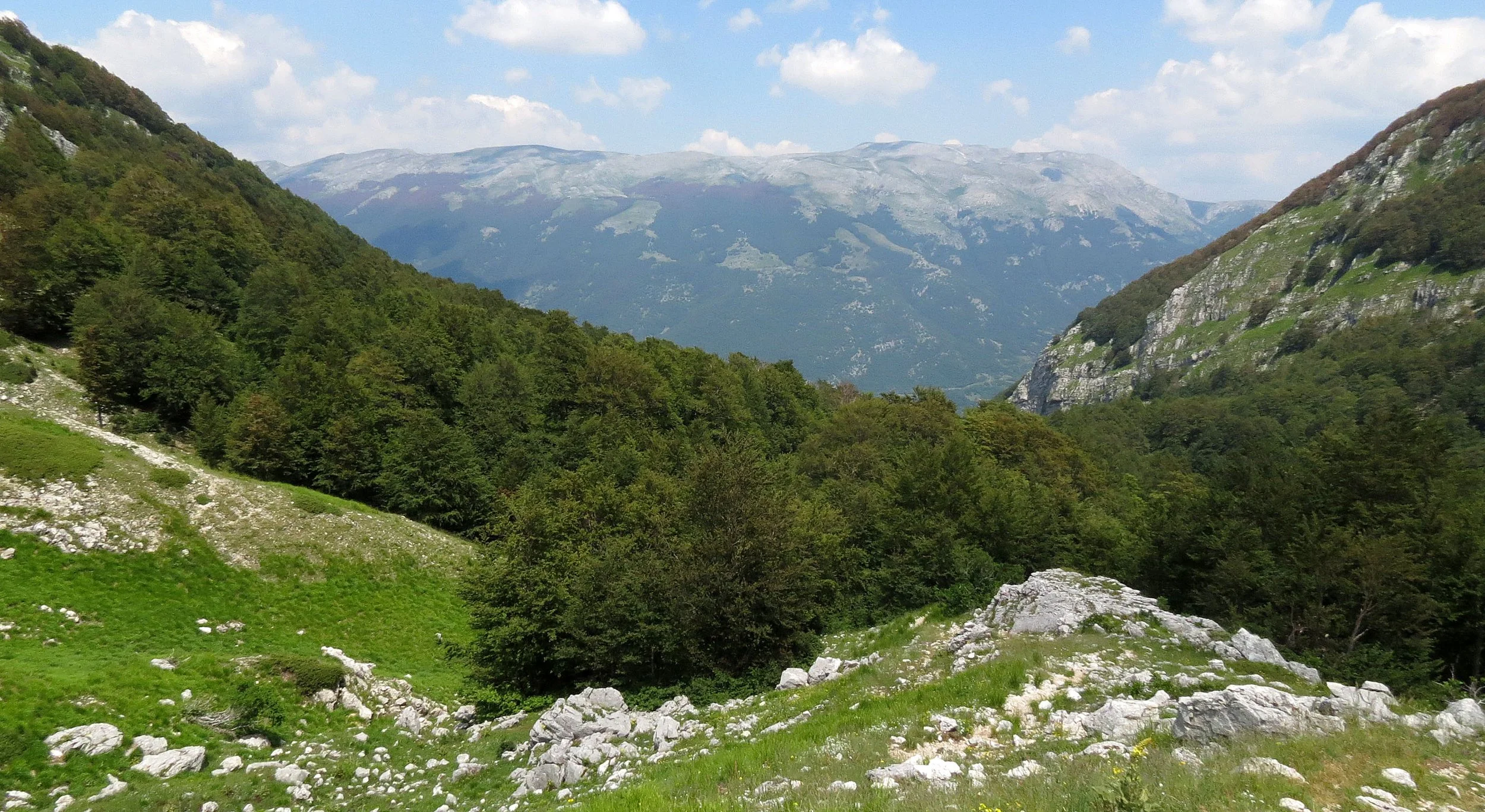 ABRUZZO NATIONAL PARK ITALY (29).JPG