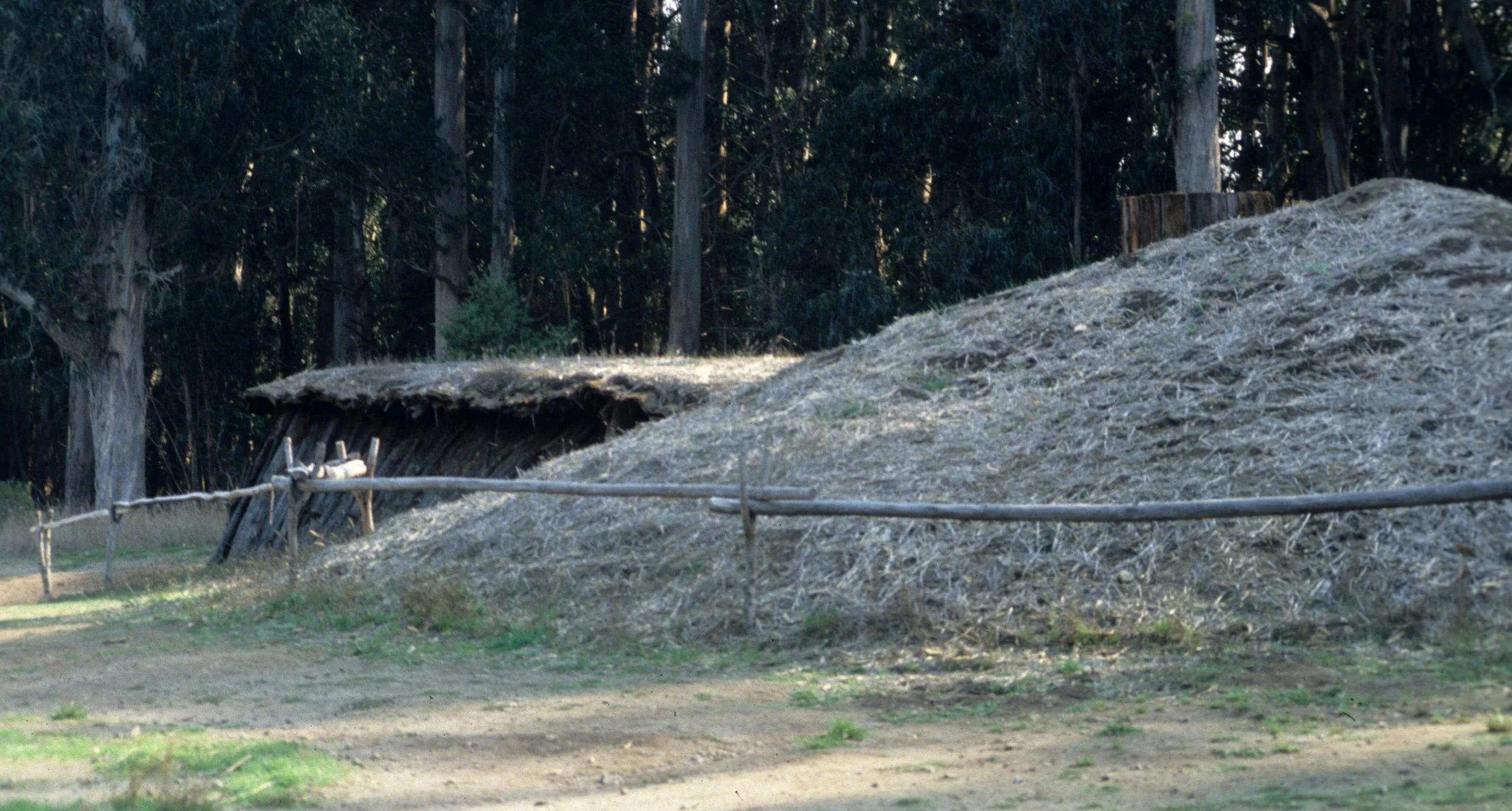 CALIFORNIA - POINT REYES - COASTAL MIWOK VILLAGE A.jpg