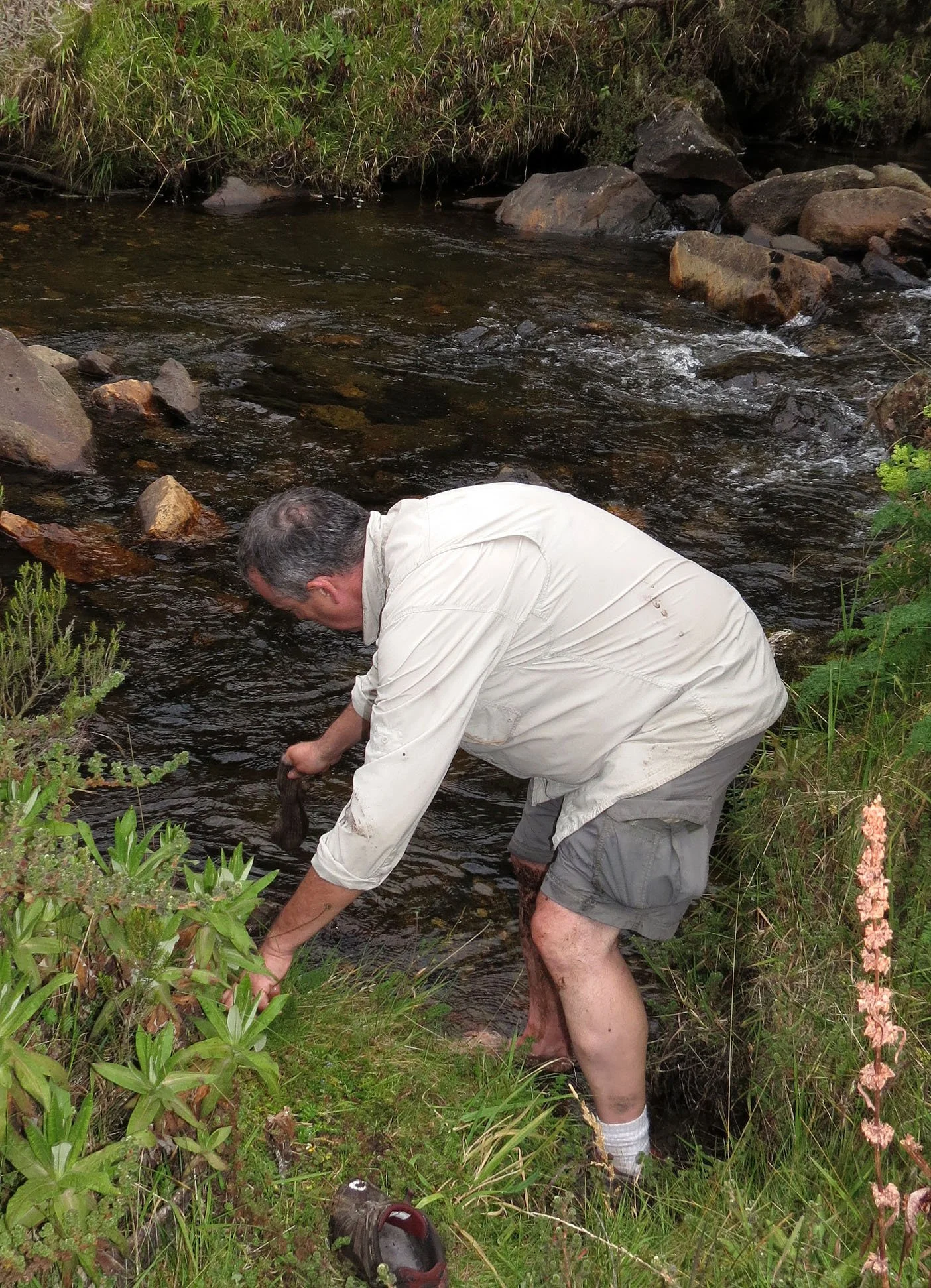RWENZORI NATIONAL PARK UGANDA (163).JPG