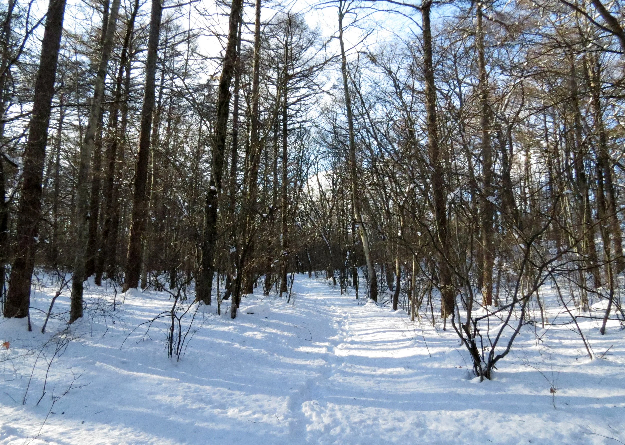 KARUIZAWA - PICCHIO TREK AND TALK (7).JPG