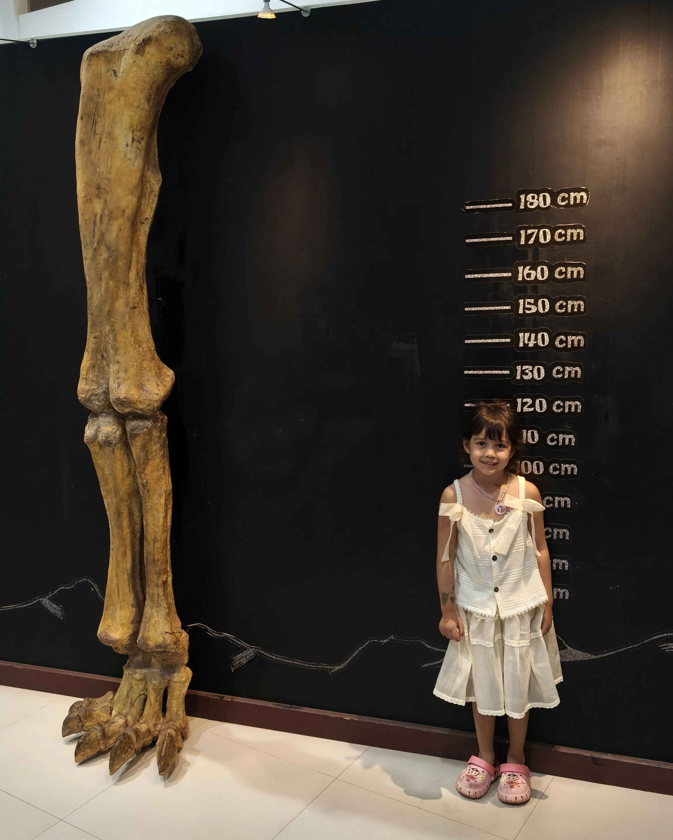 Phu Wiang Dinosaur Museum Khon Kaen Province (18).jpg