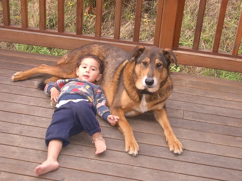2004-9-15 HANGING IN LAKE FARM.JPG