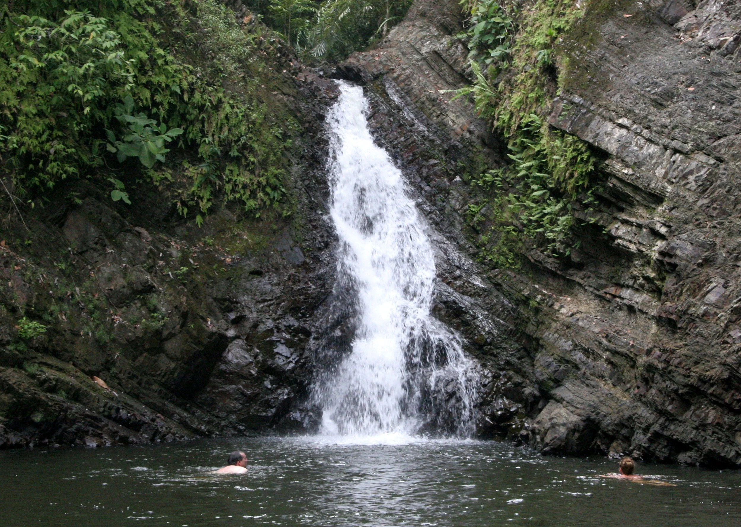 TABIN WILDLIFE RESERVE BORNEO - TABIN FALLS AND SWIMMING HOLE (4).JPG