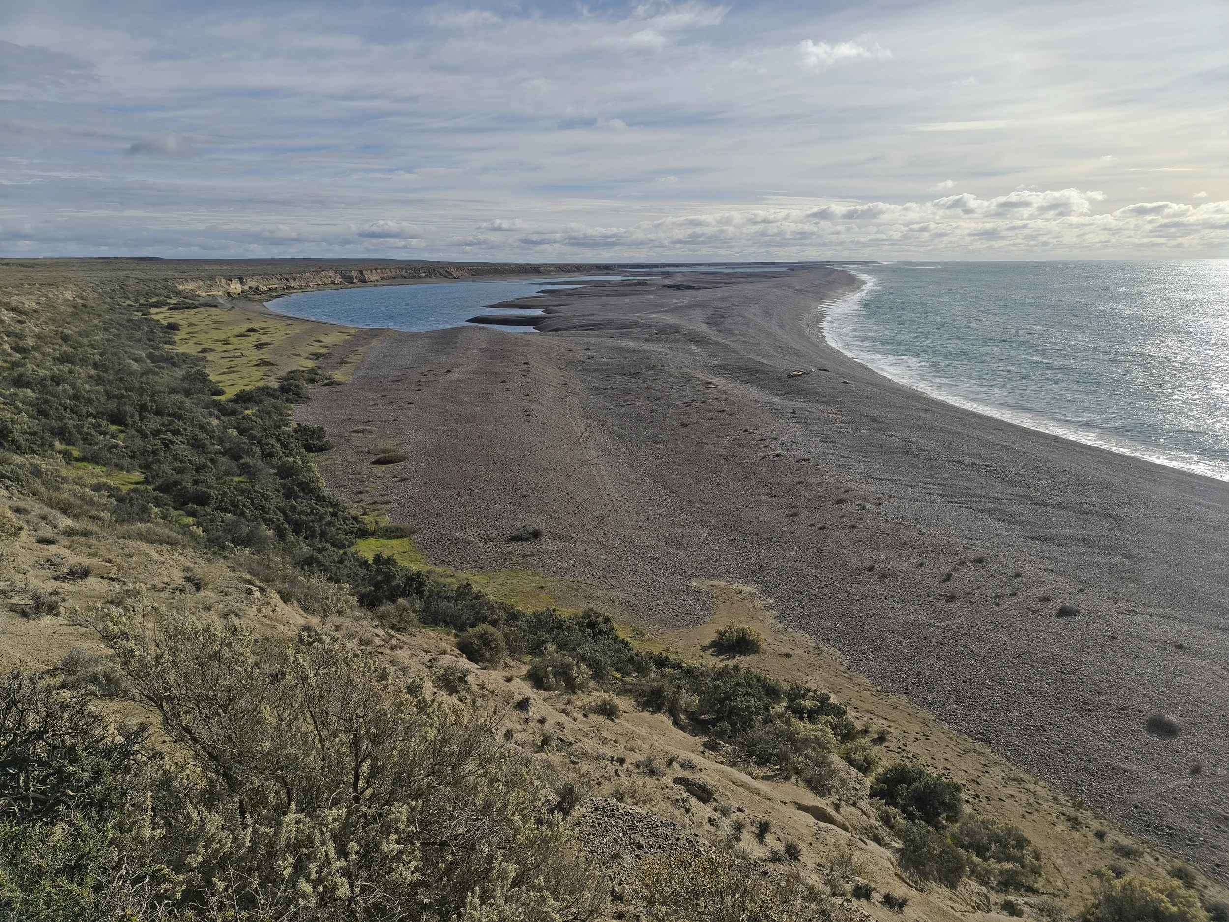 Valdes Peninsula, Chubut Province, Argentina (42).jpg