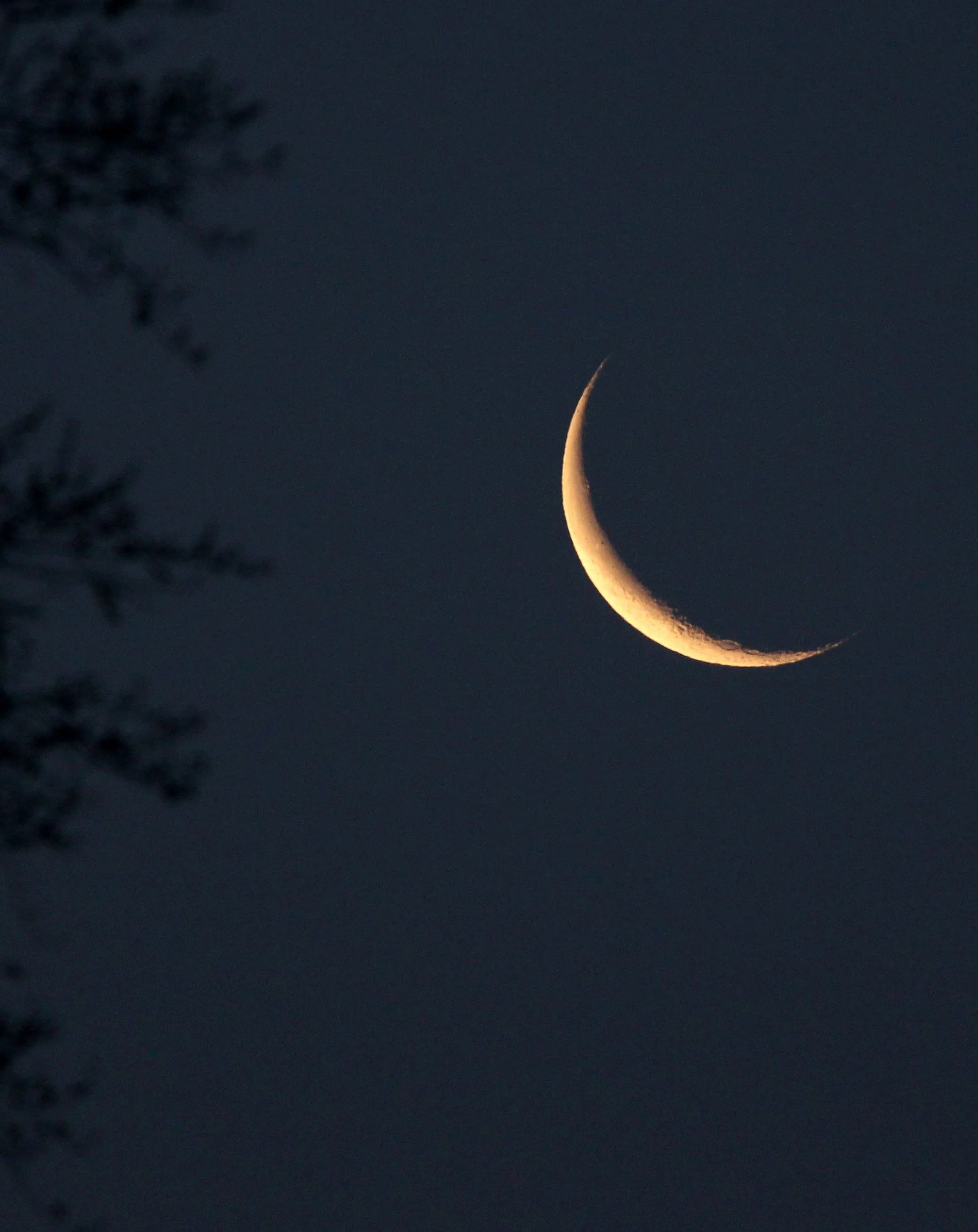 TANGJIAHE NATURE RESERVE, SICHUAN CHINA (4).JPG