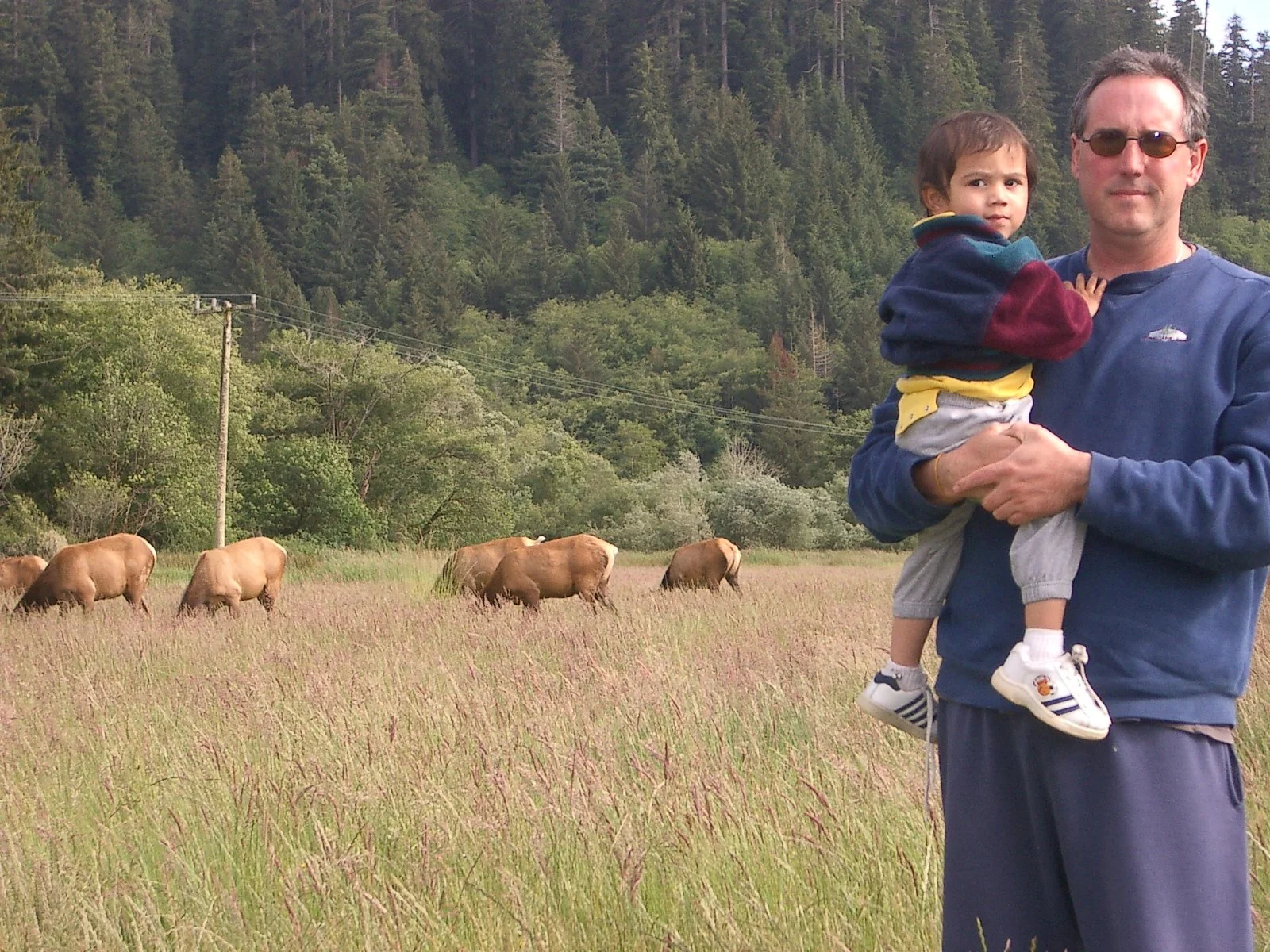 2004-6-12 LARRY AND KATRIS WEDDING IN EUREKA CALIFORNIA (71).JPG