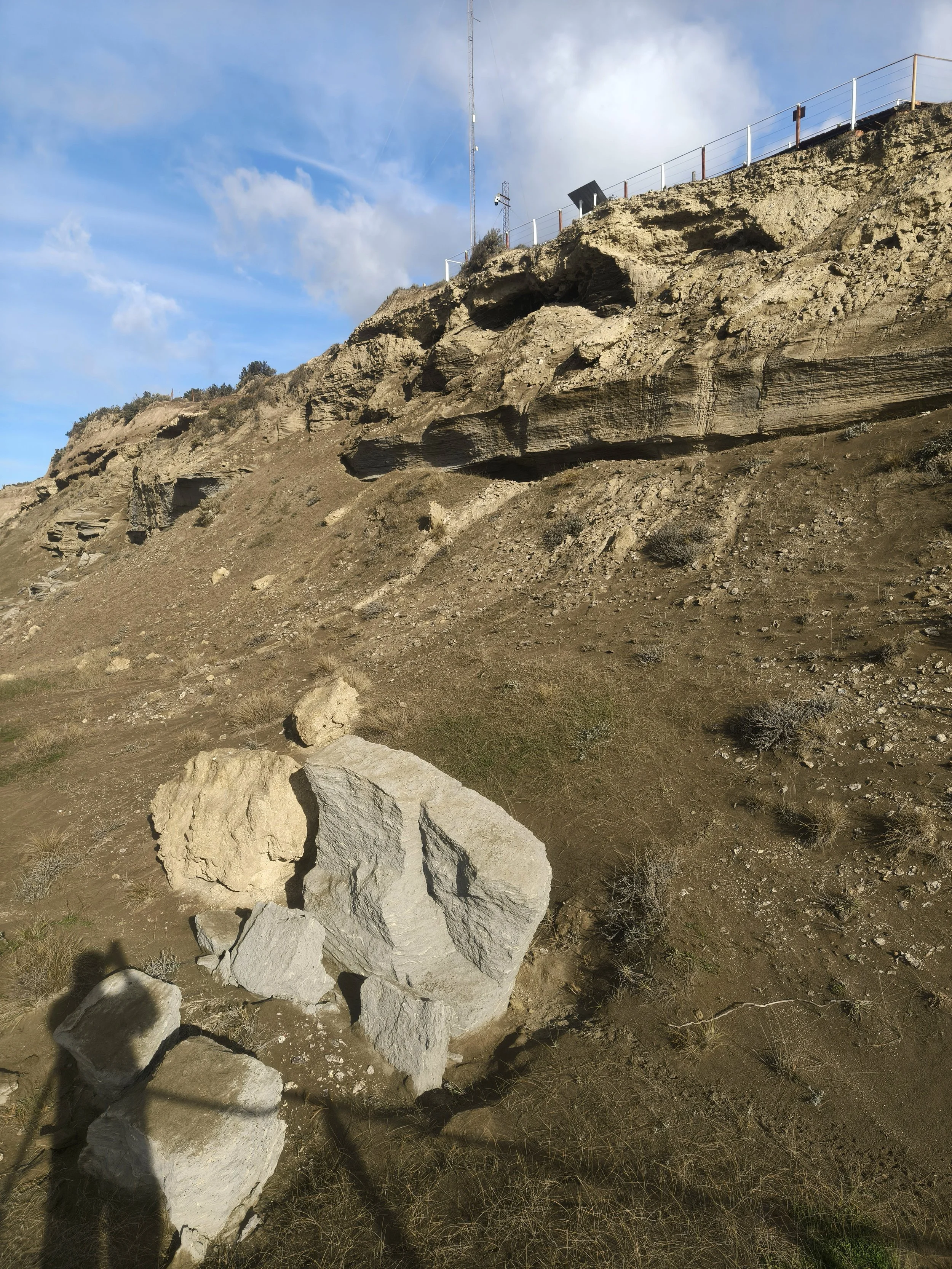 Valdes Peninsula, Chubut Province, Argentina (37).jpg