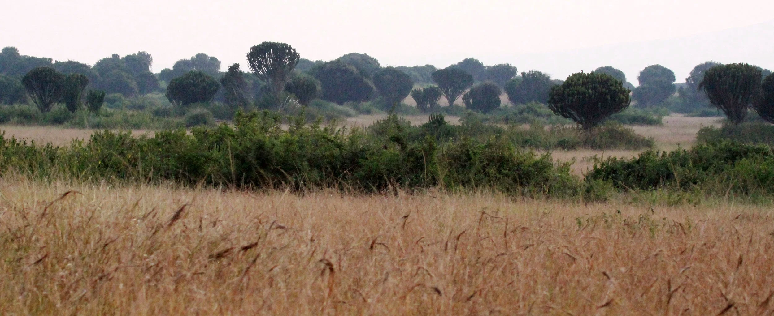 QUEEN ELIZABETH NATIONAL PARK UGANDA (4).JPG