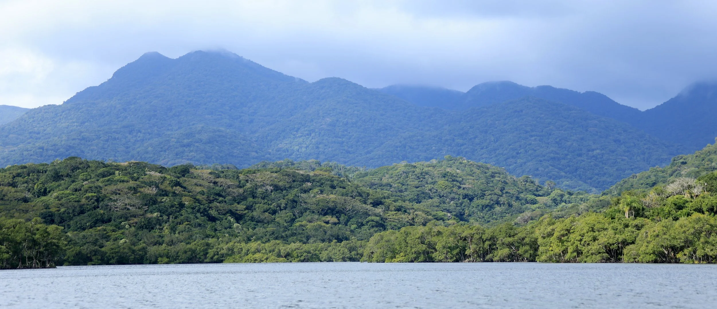 Superagüi National Park