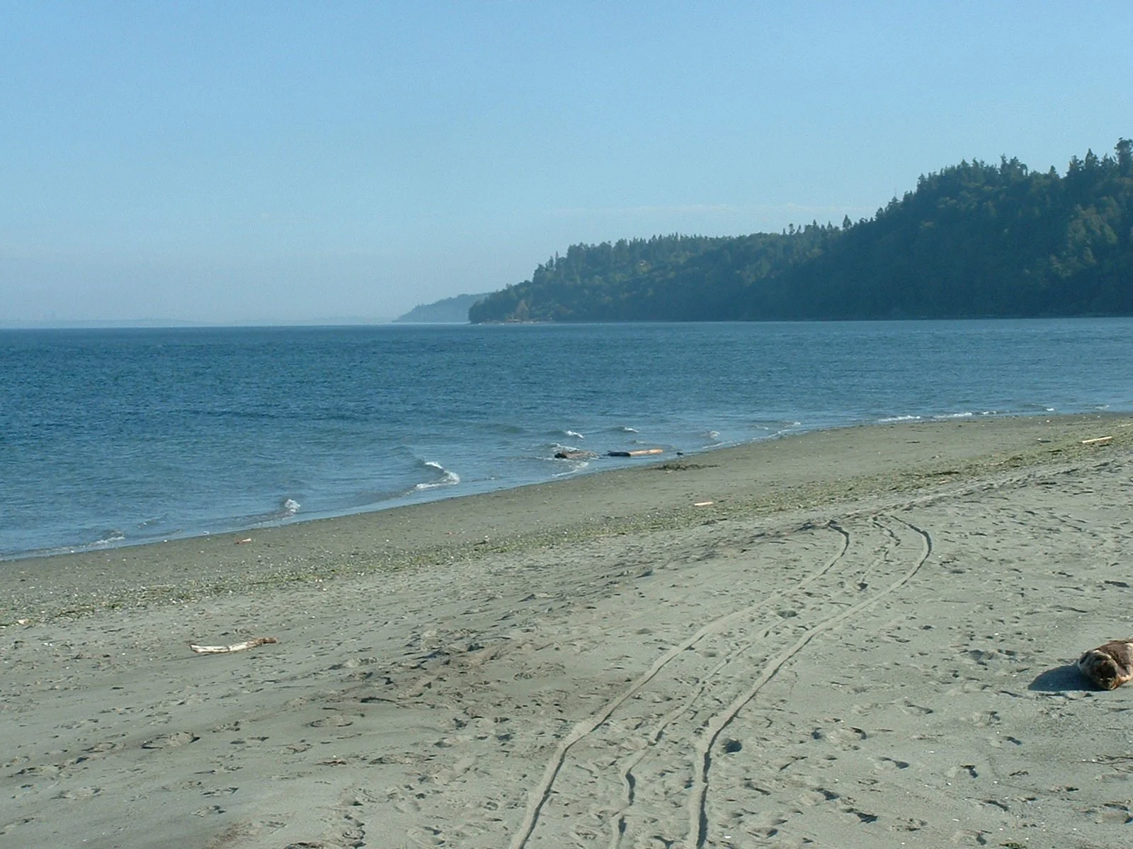 2003-8-1 WASHINGTON VISIT FROM ROBINSONS ET AL (112).JPG