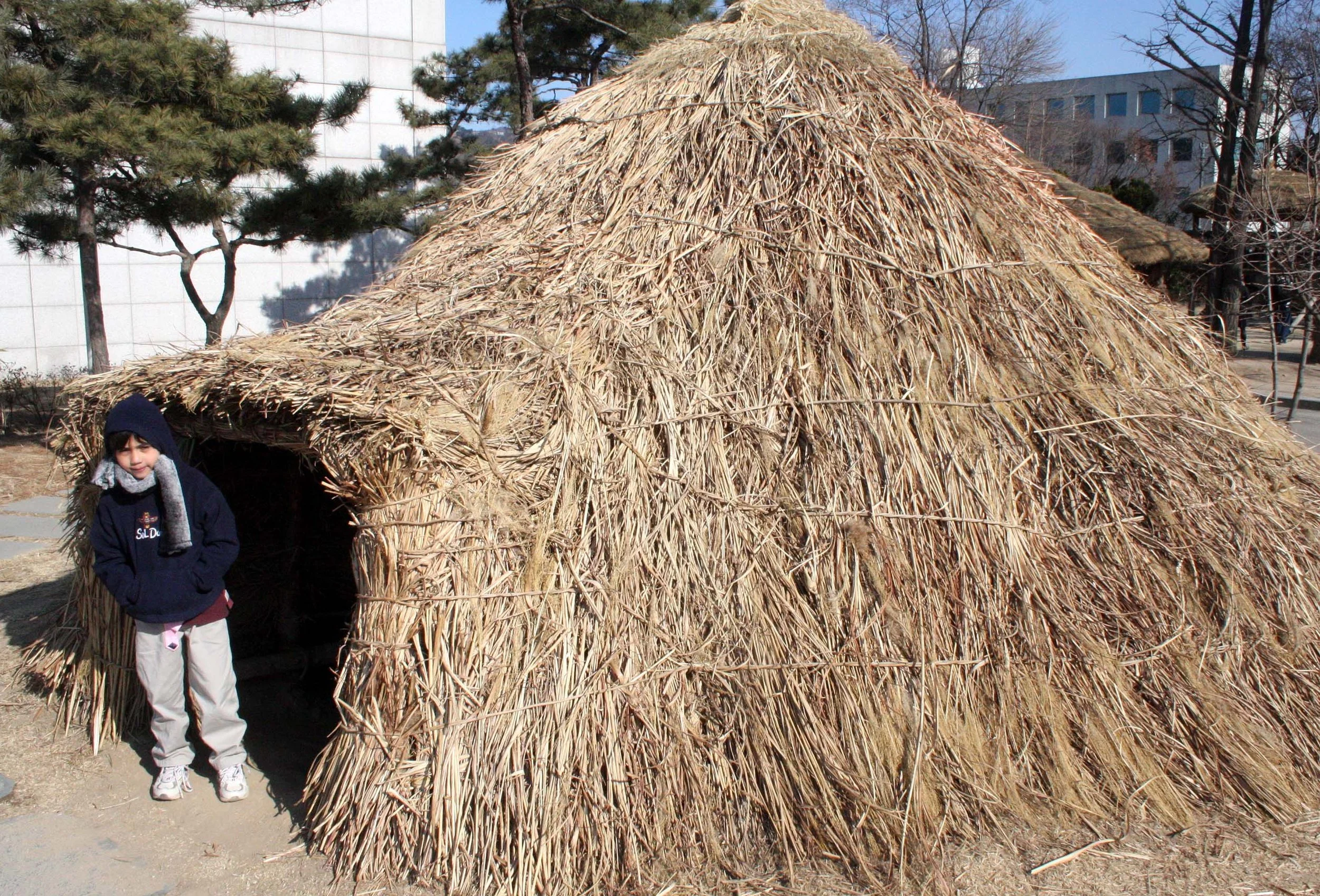 SEOUL - IMPERIAL PALACE - JAN 2009 (102).JPG