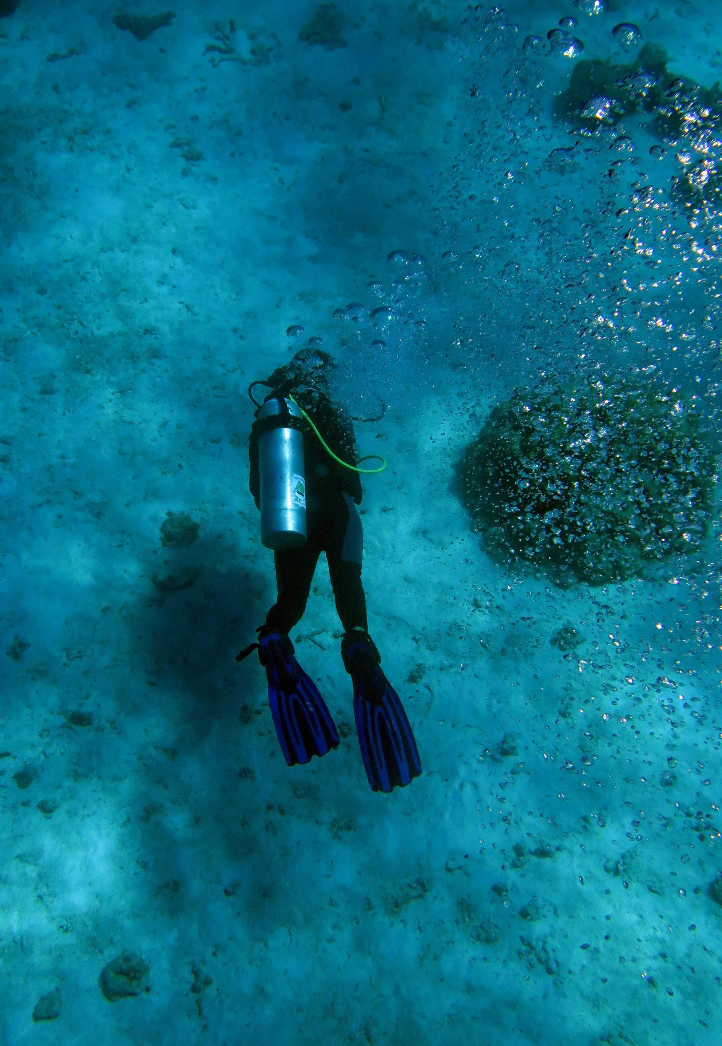 2014 Similan Islands Marine Park Thailand ISB Dive Trip (104).JPG