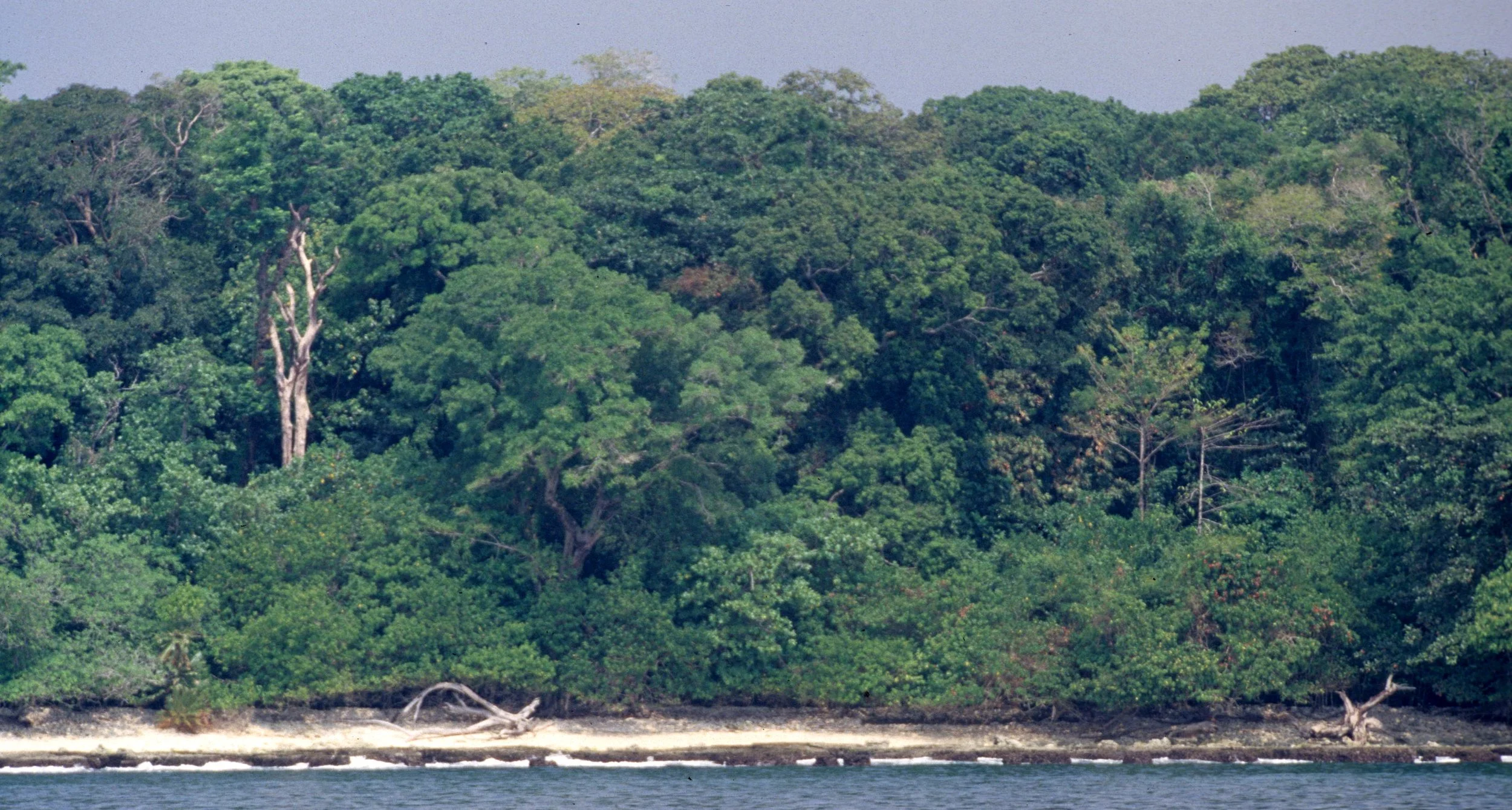 UJON KULONG NP - INDONESIA - JAVA B.jpg