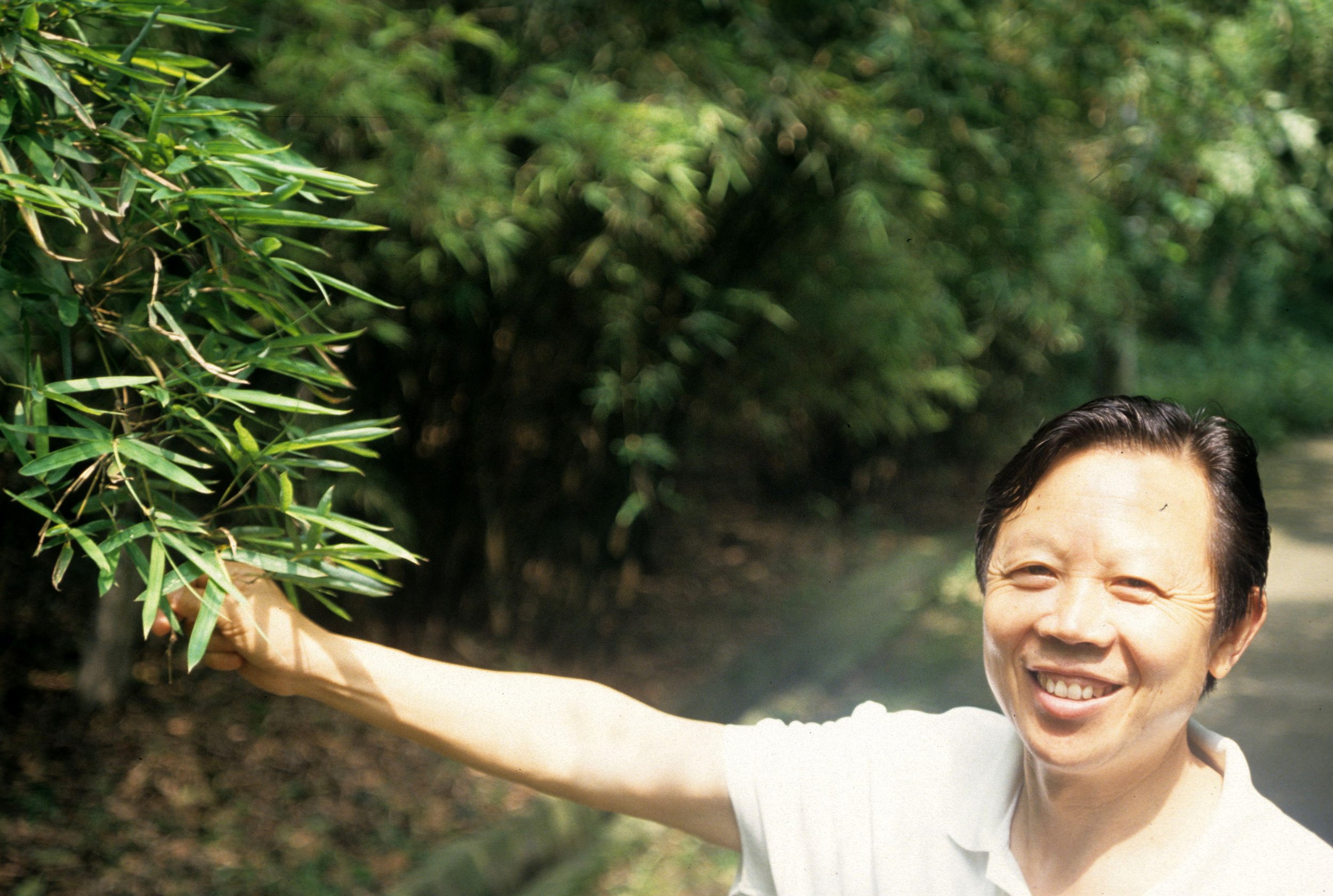 URSID - GIANT PANDA - CHENGDU RESERVE 1994 (3).jpg