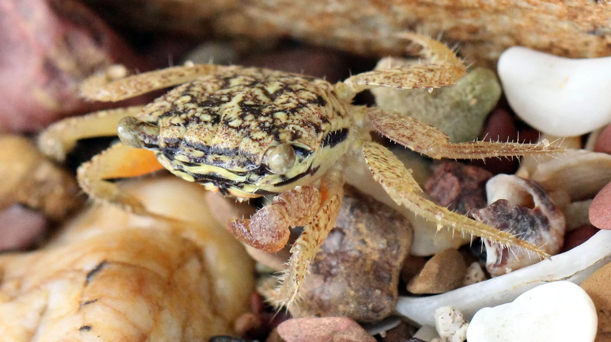 2015 Koh Lanta Build and Fun (158).JPG