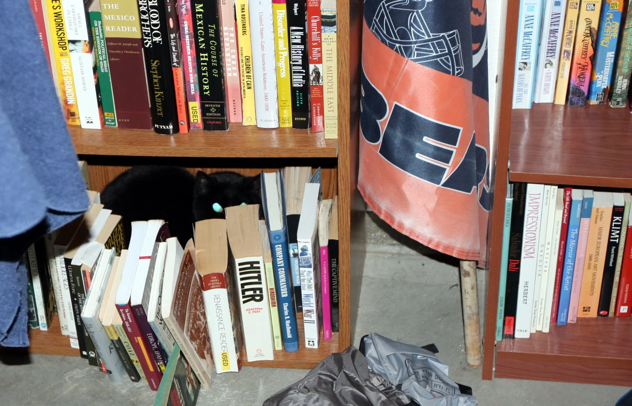 2010-3-28 LIEN THE CRAZY CAT AT LARRY'S IN ARCATA.JPG