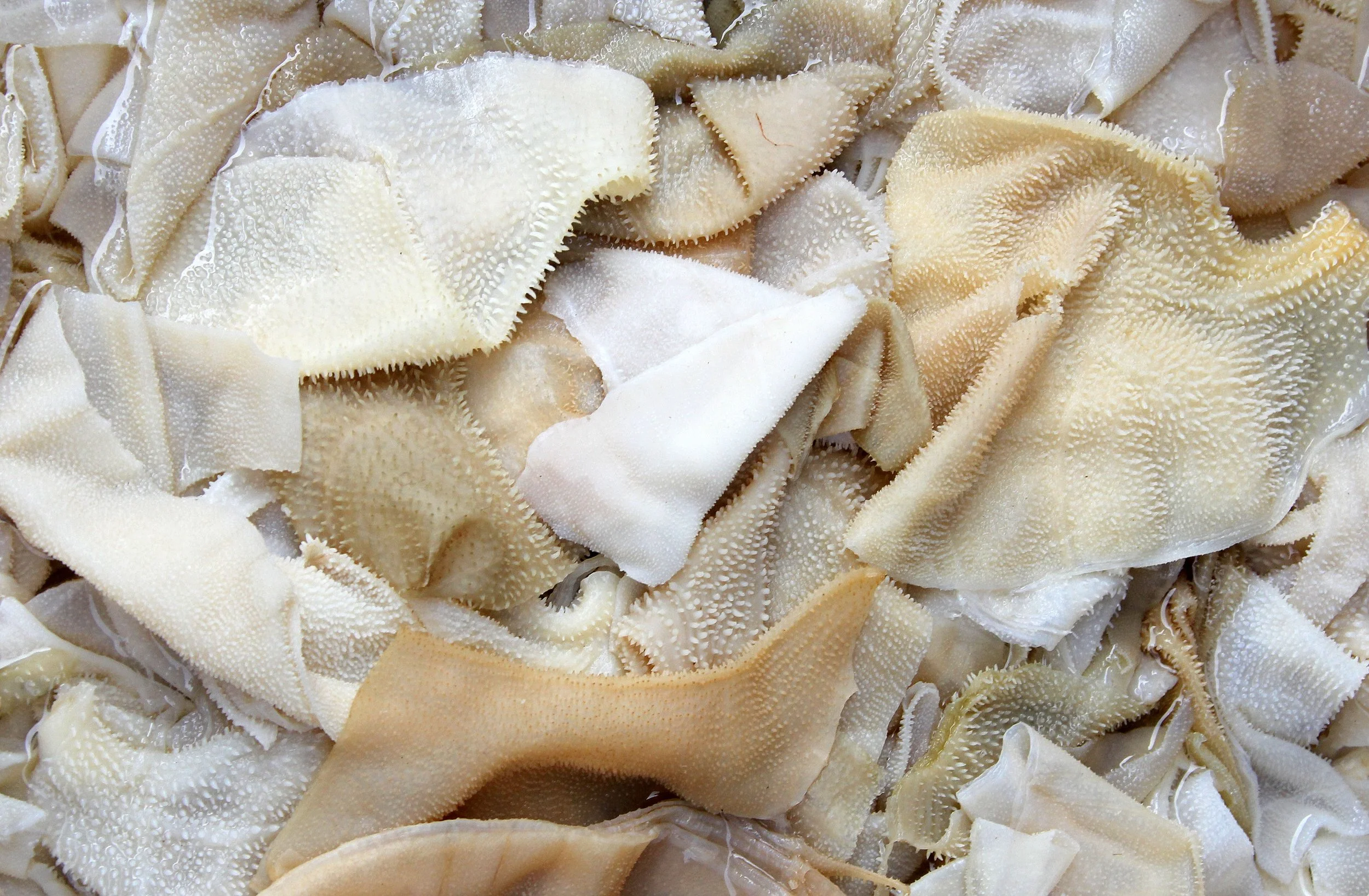 QINGCHUAN AND SURROUNDING AREA - SICHUAN CHINA (18).JPG