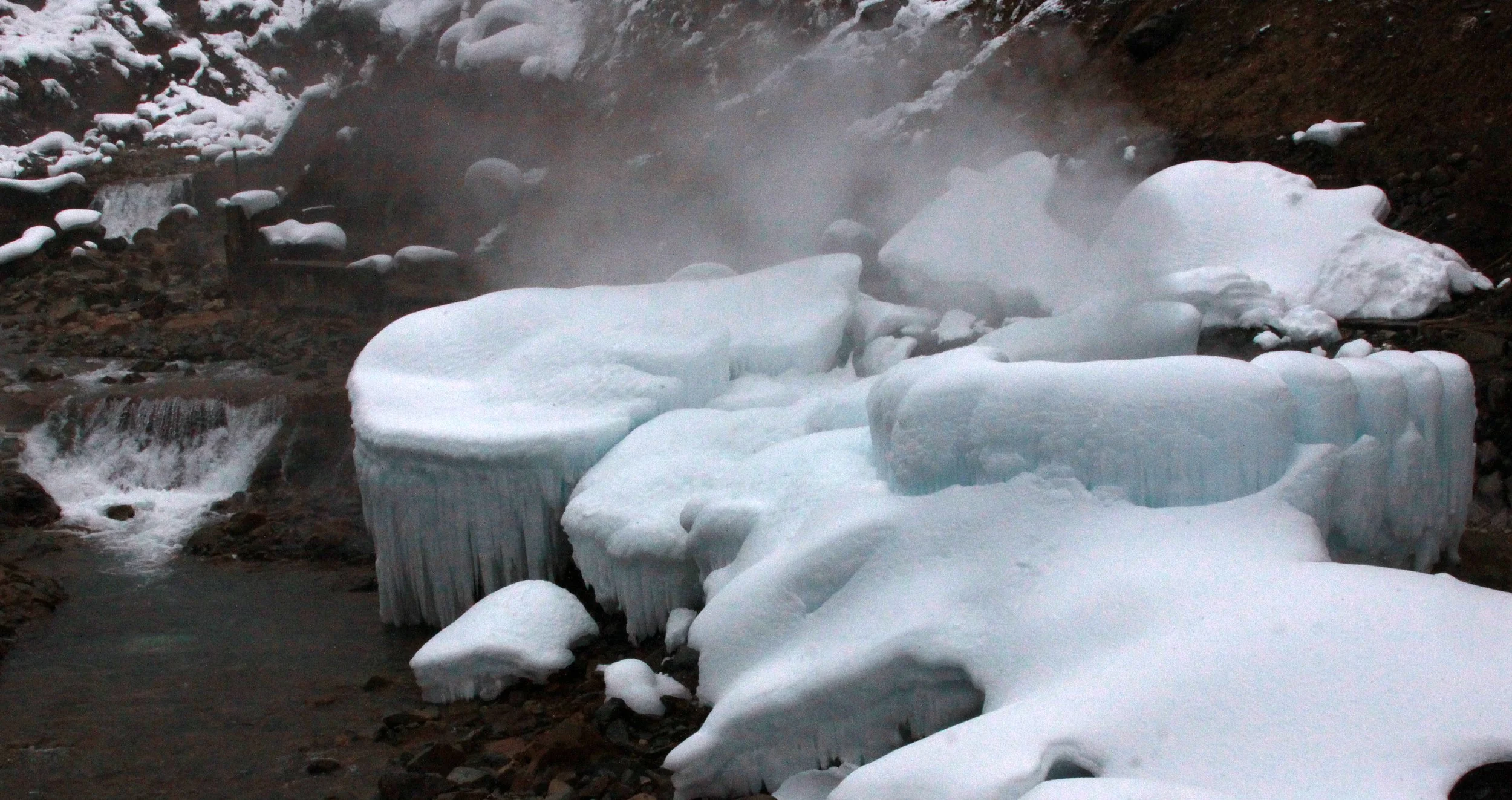 JIGOKUDANI ONSEN - NAGANO PREFECTURE JAPAN - FOREST SCENCES (5).JPG