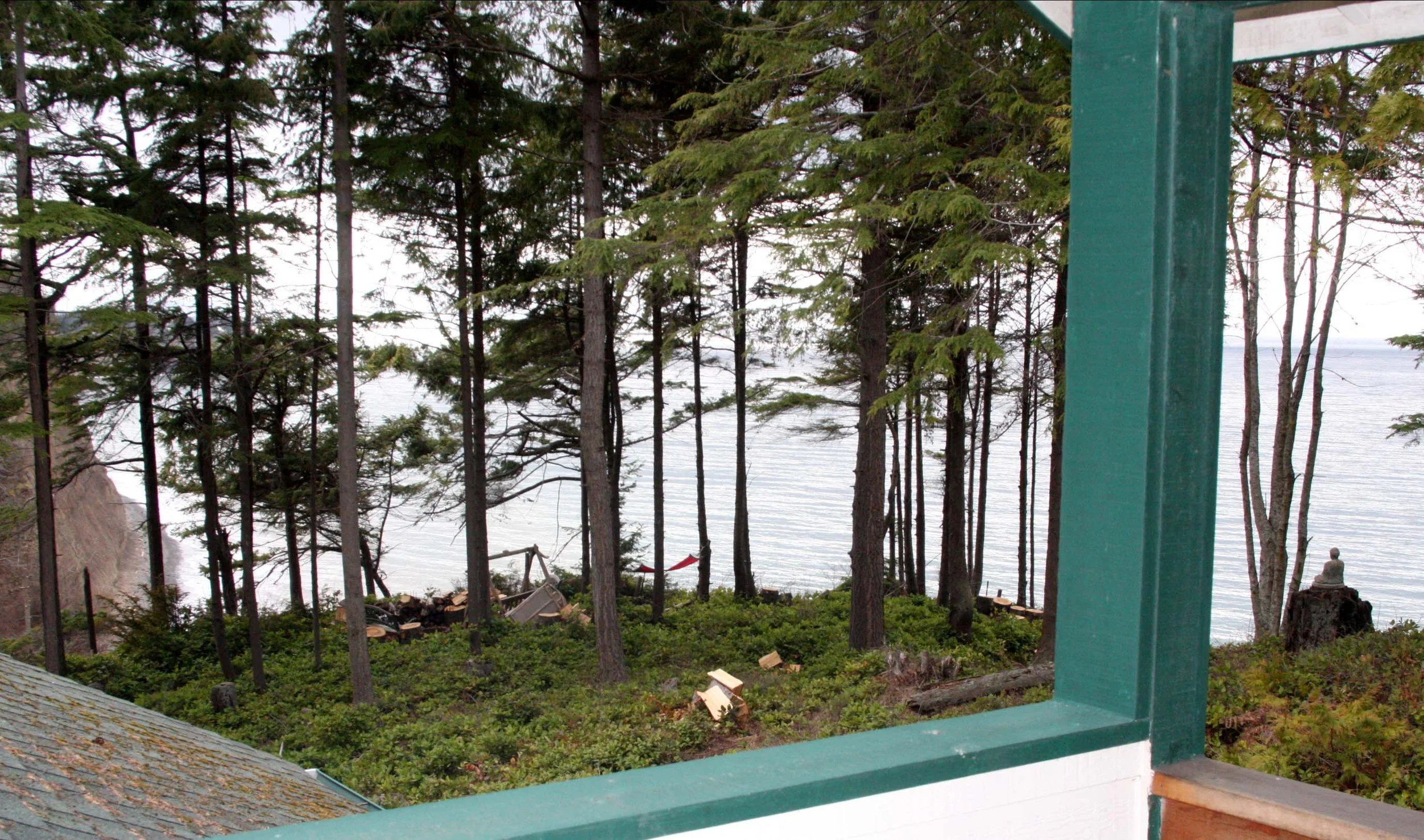 2009-4-24 - HOUSE - VIEW FROM MASTER SUITE.JPG