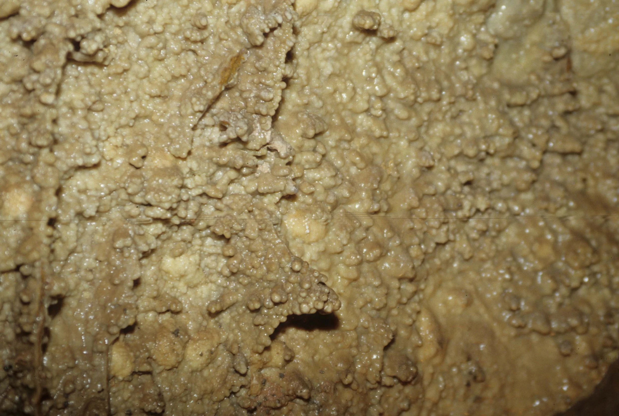 GREAT PLAINS - CAVE OF THE WINDS G.jpg