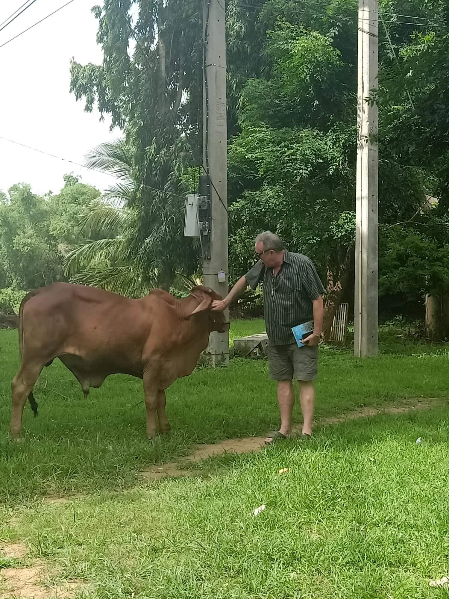 2019-2020 Misc Pictures from Other People - Family, Kanchanaburi, Lanta, Liana and more (144).jpeg