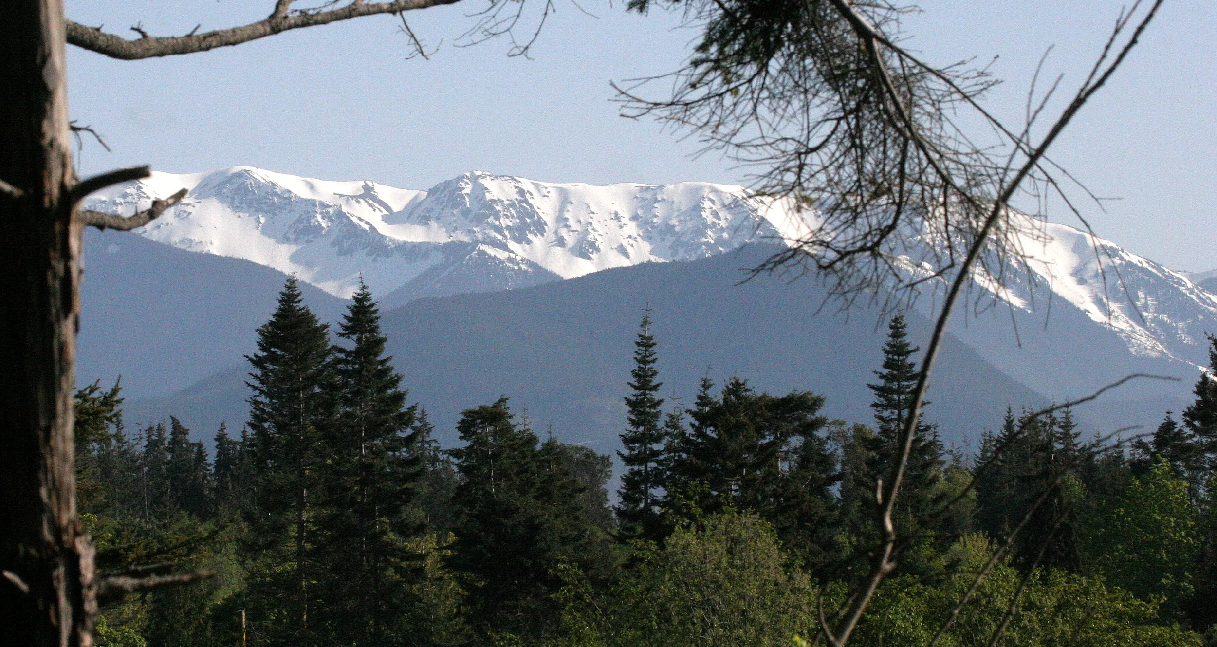 KLAHANE RIDGE FROM LAKE FARM  (2).JPG