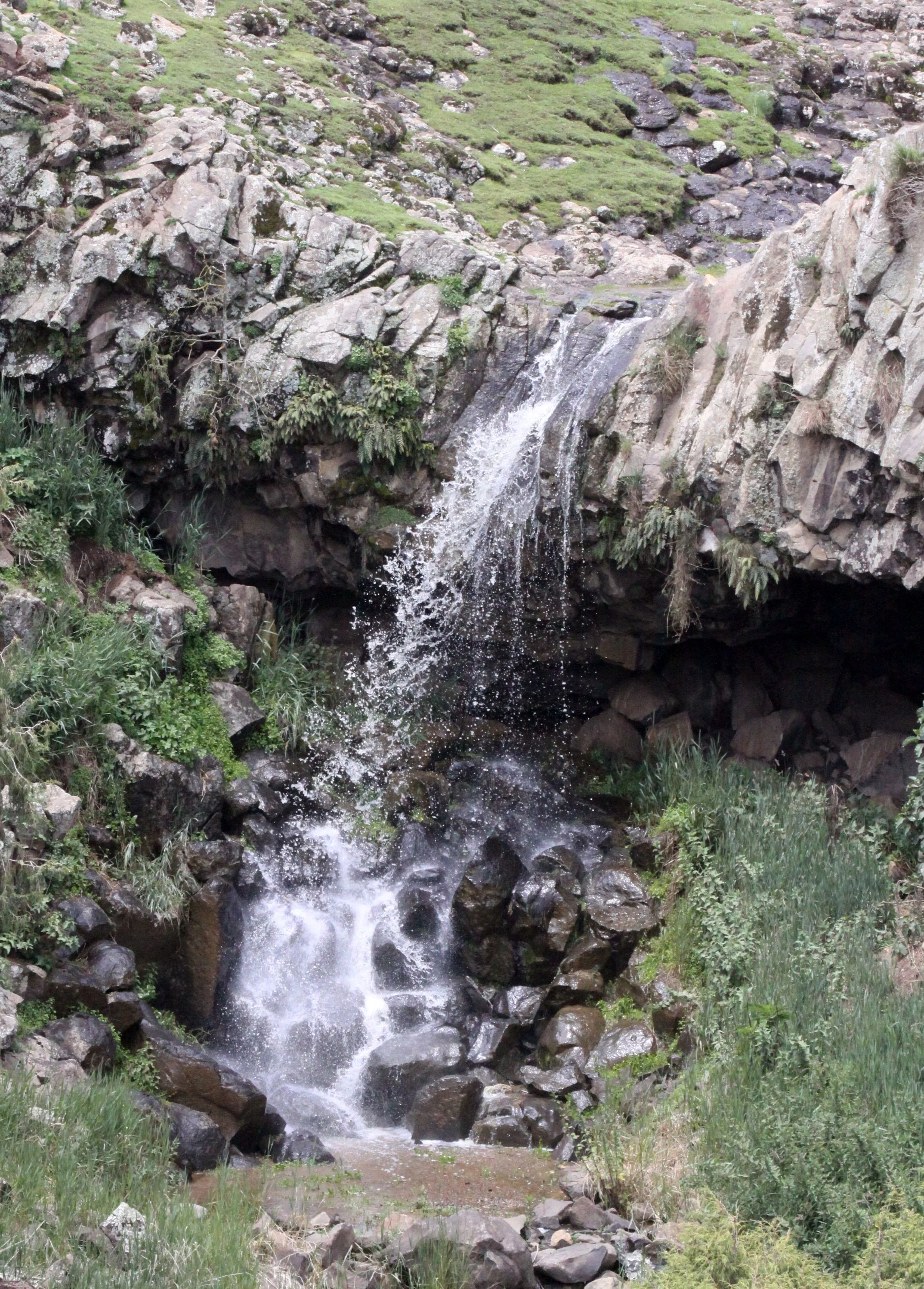 BALE MOUNTAINS NATIONAL PARK ETHIOPIA (36).JPG