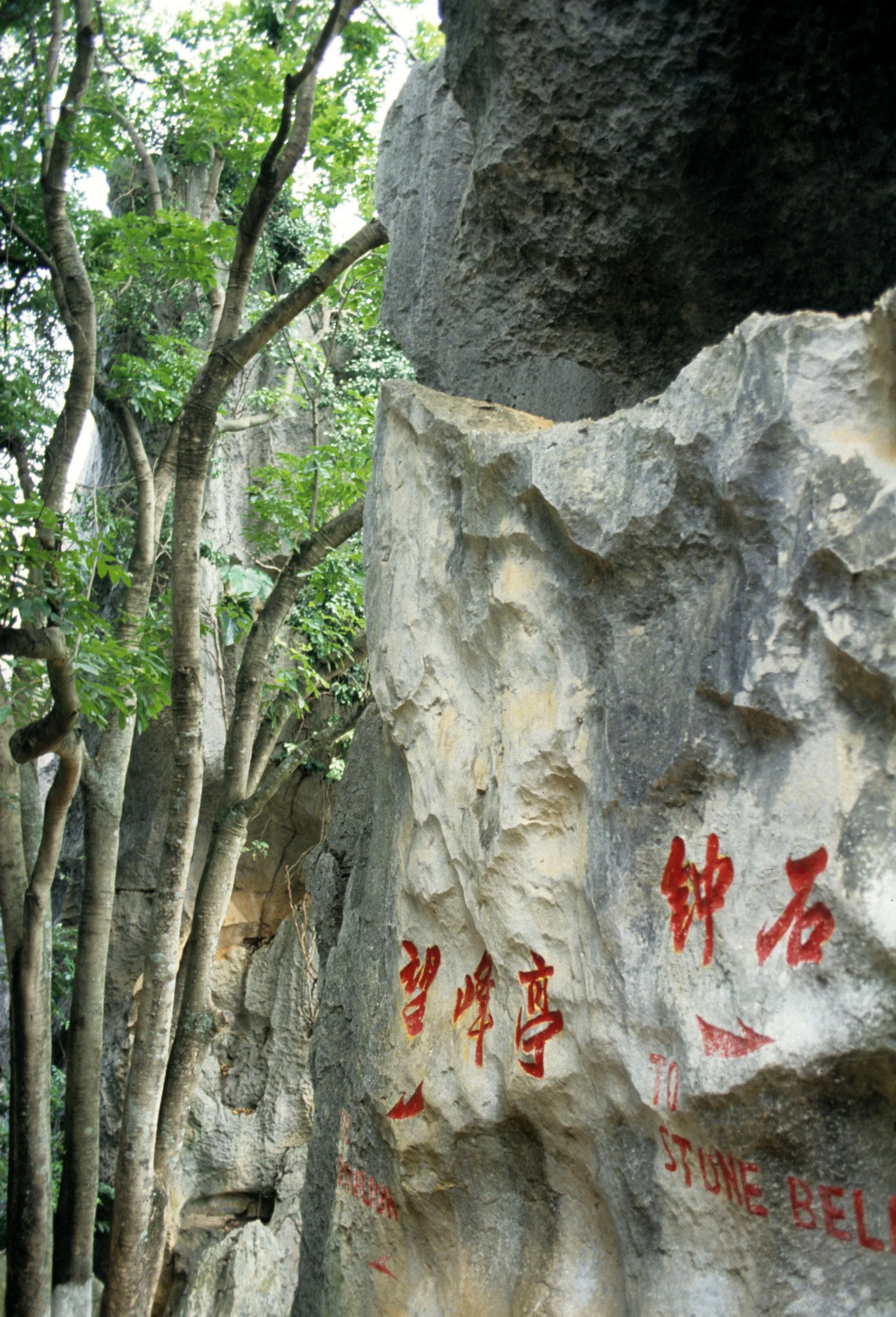 STONE FOREST - KUNMING CHINA (7).jpg