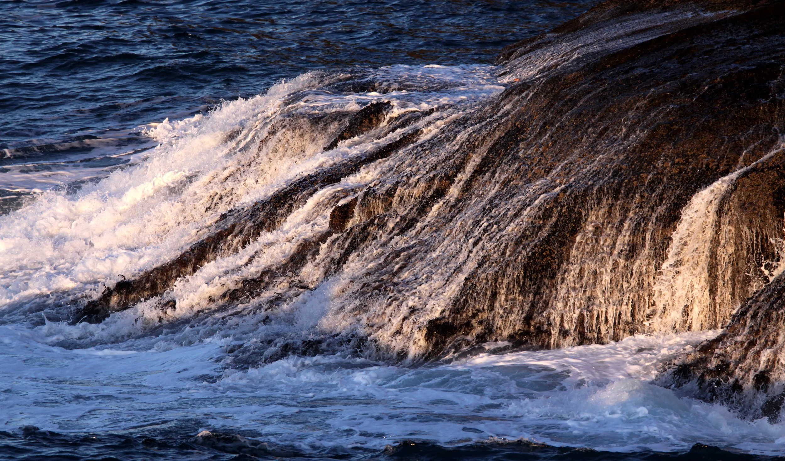 CAPE FLATTERY OLYMPIC PENINSULA - 2010-2-20 (26).JPG