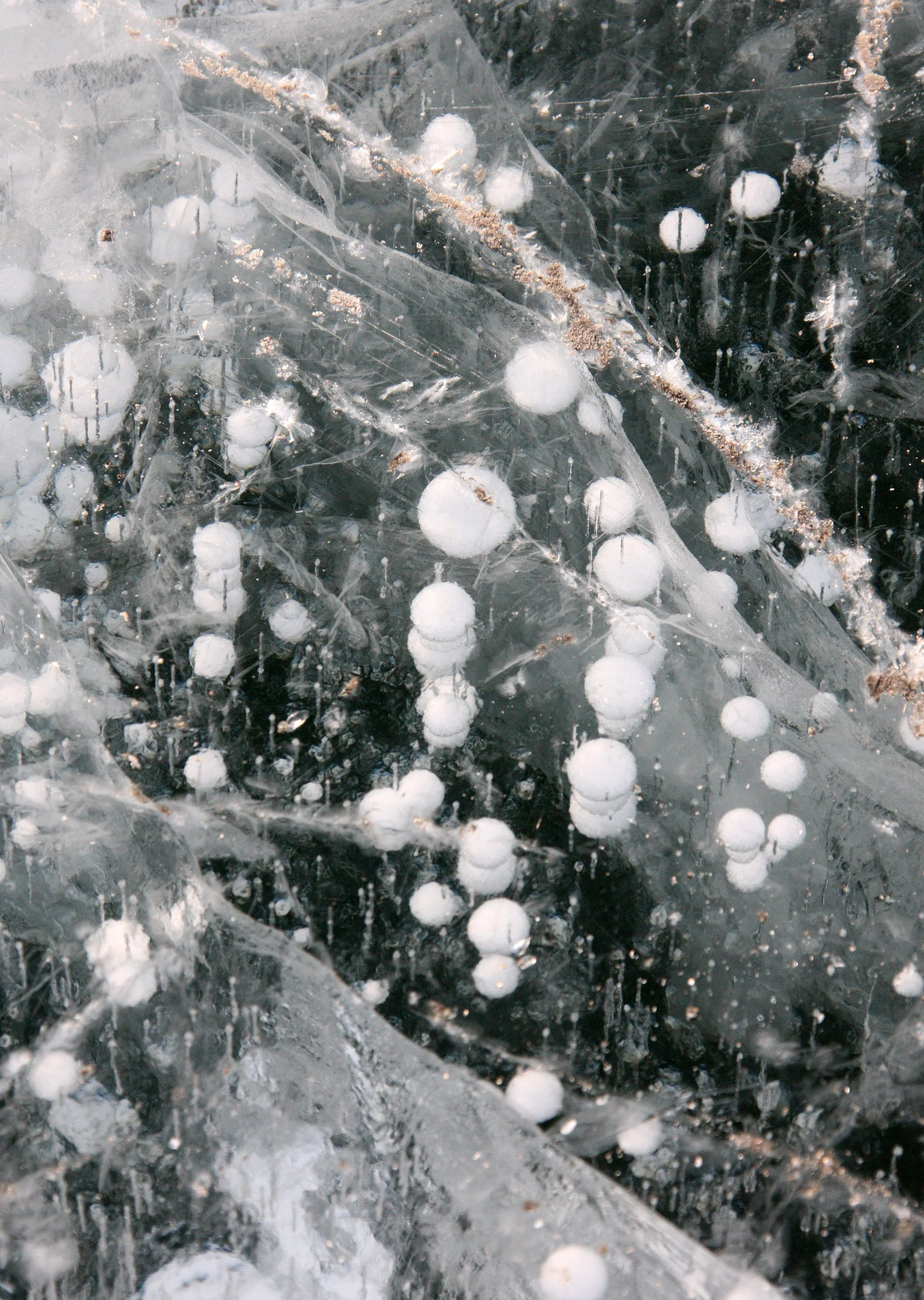 SONGHUA RIVER HARBIN CHINA - ACTIVITY ZONE! (24).JPG