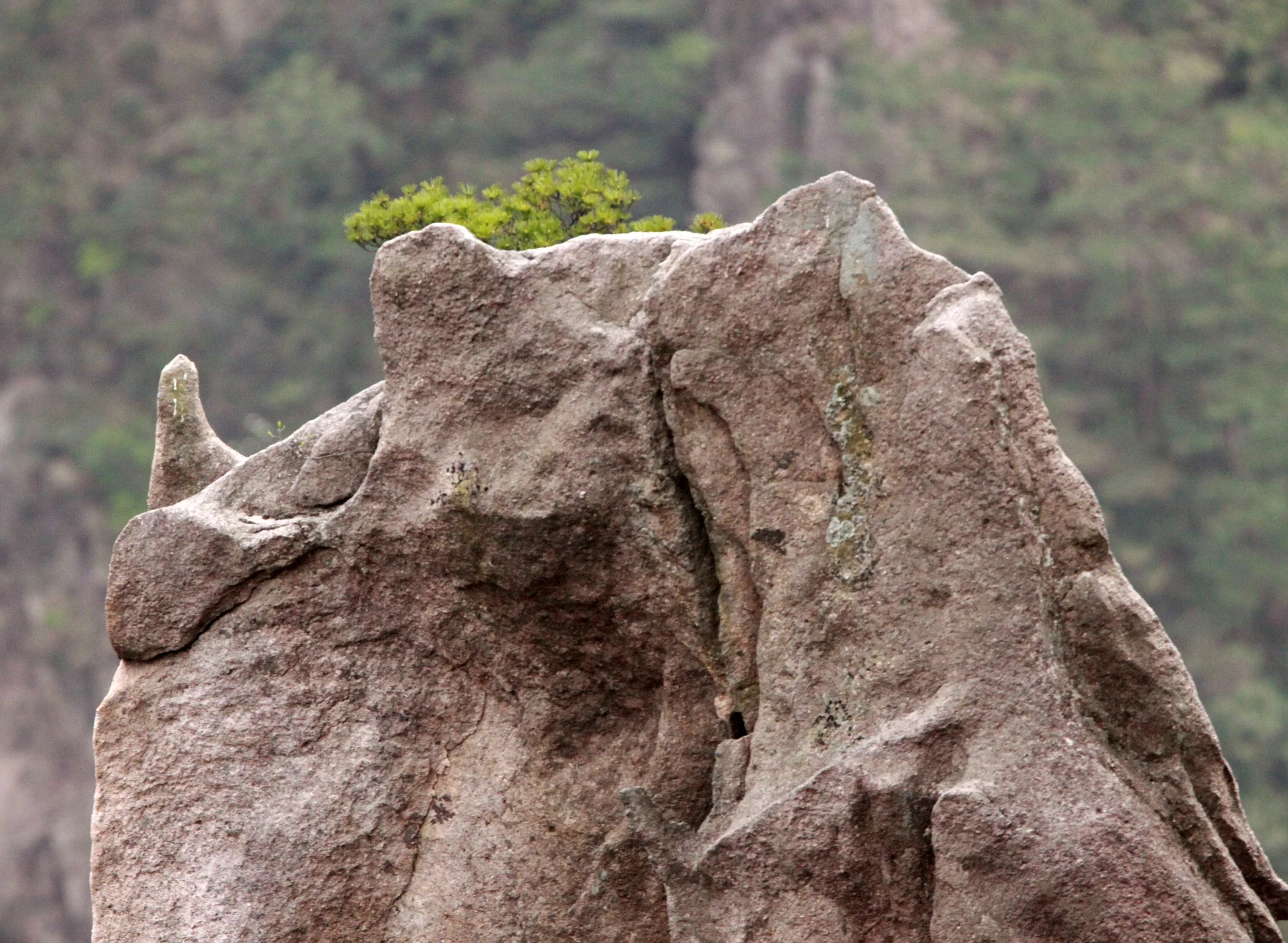 HUANGSHAN NATIONAL PARK ANHUI PROVINCE CHINA (277).JPG