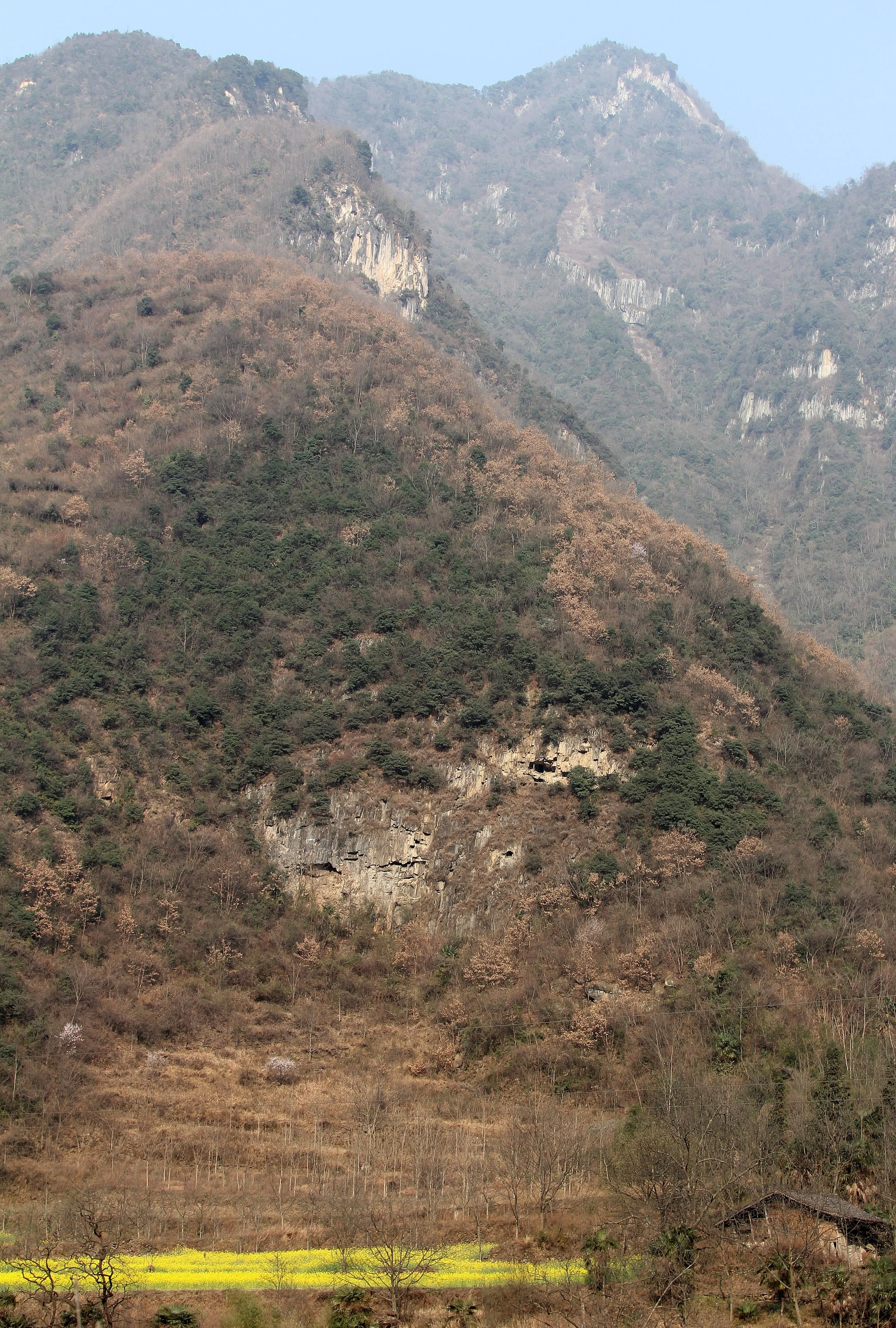 TANGJIAHE NATURE RESERVE, SICHUAN CHINA (3).JPG
