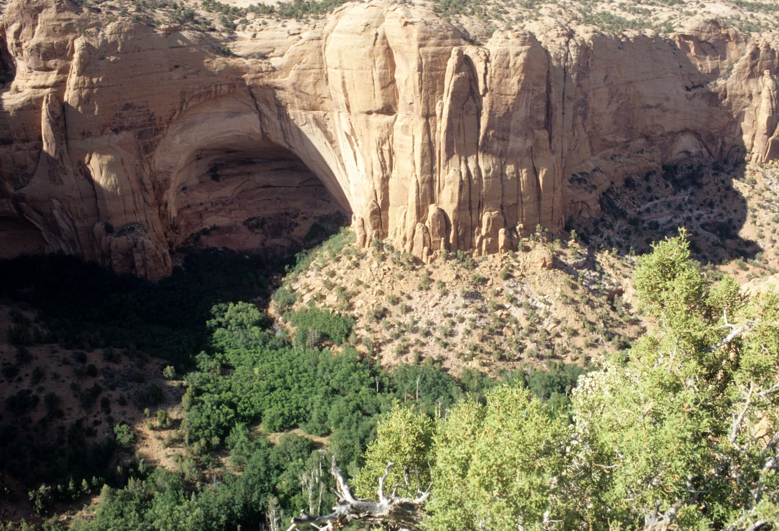 ANASAZILAND - NAVAJO NM B.jpg