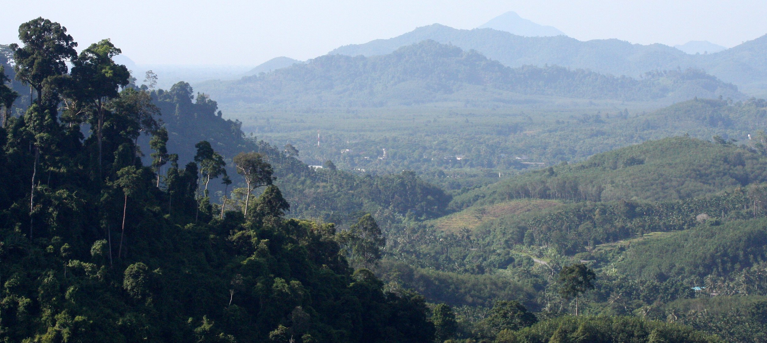 KRUNG CHIN - KHAO LUANG NP - FOREST VIEWS .JPG