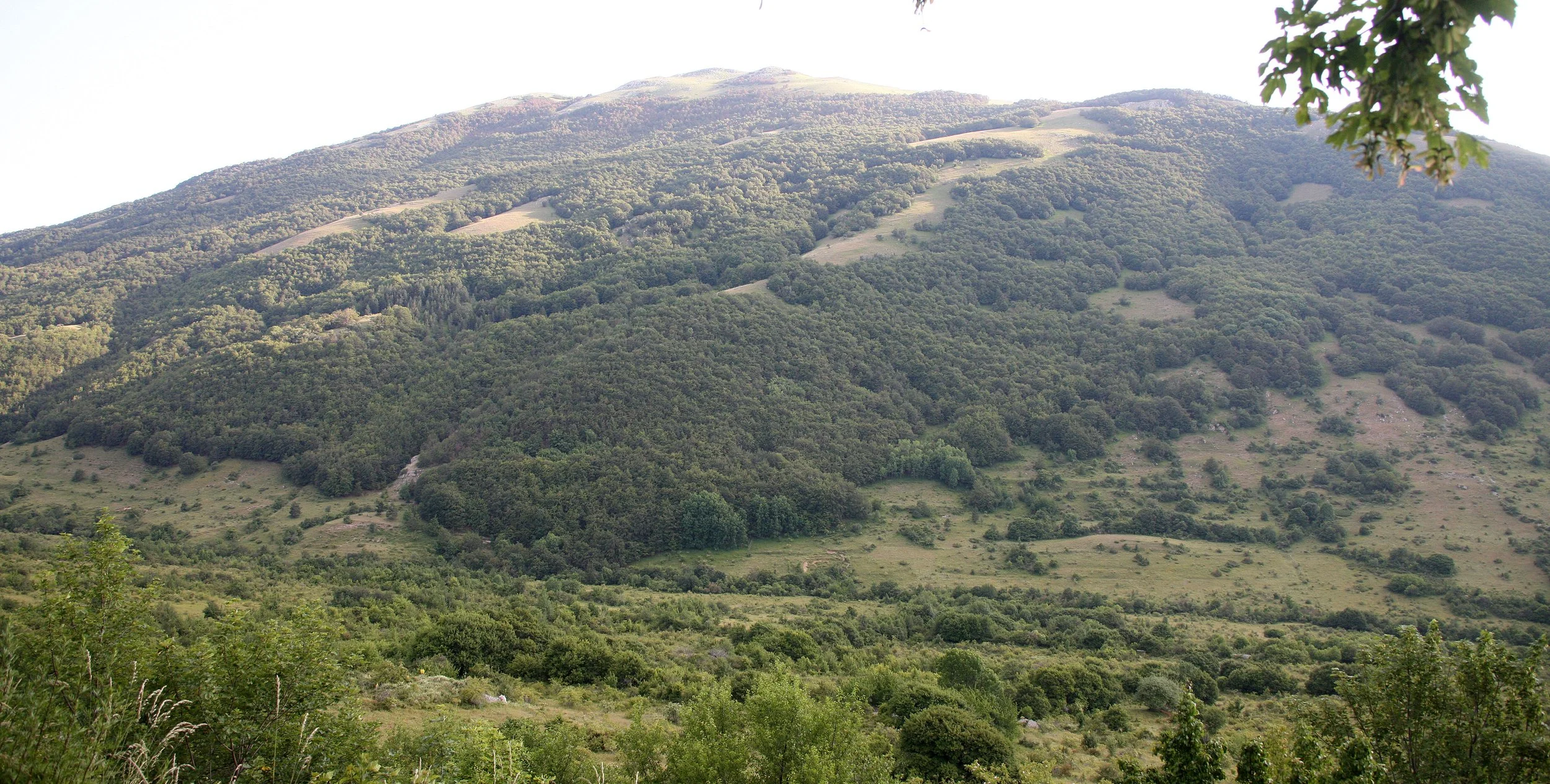 ABRUZZO NATIONAL PARK ITALY (154).JPG