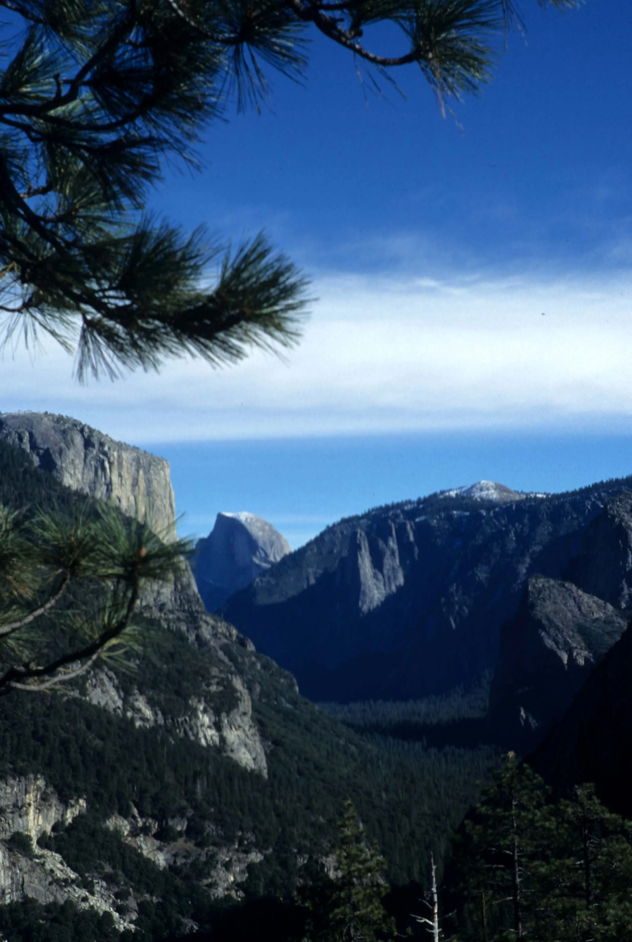 CALIFORNIA - YOSEMITE NP  (30).jpg