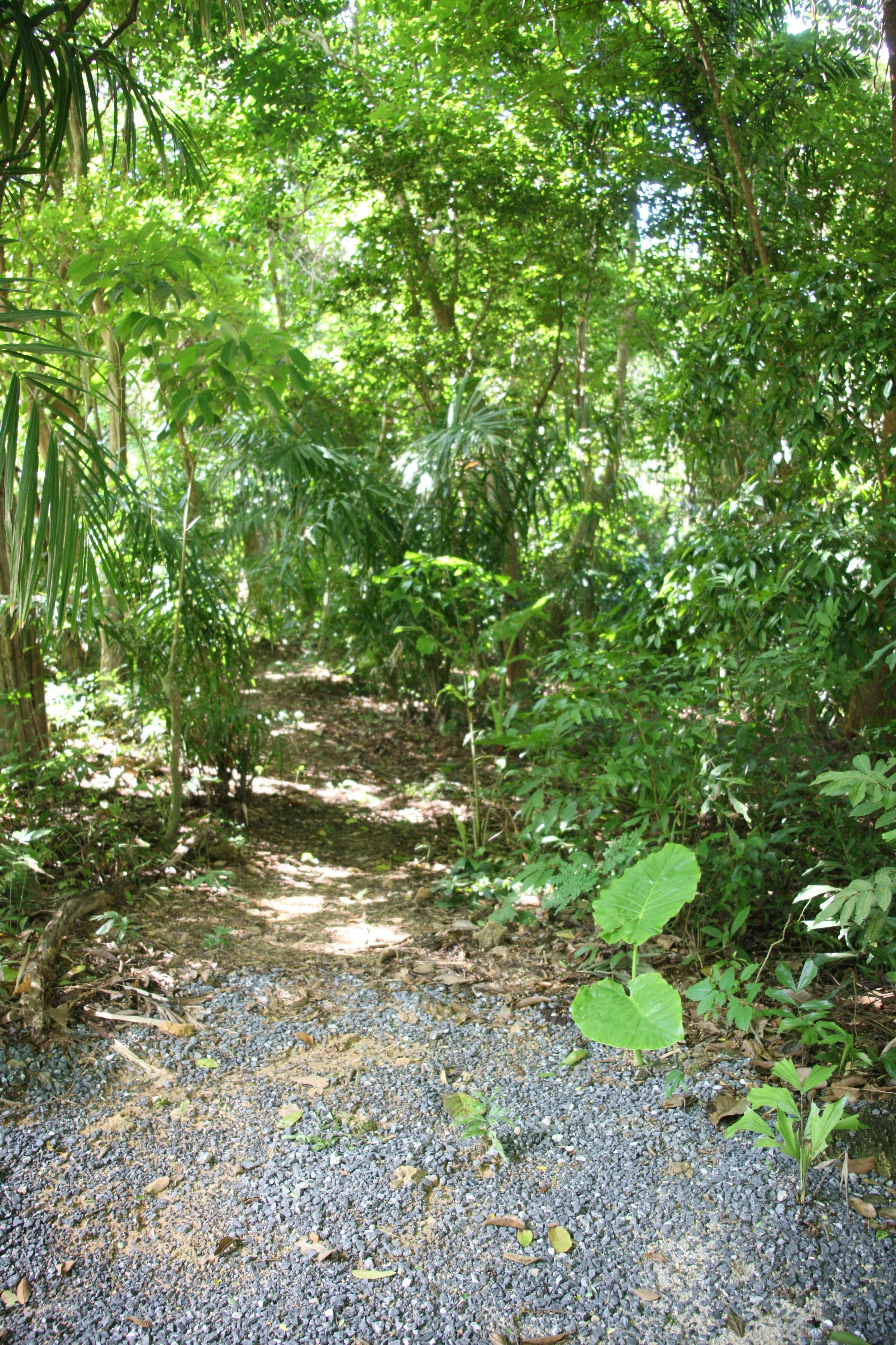 2016 Koh Lanta Landscapes, House Pictures and Family Fun (621).JPG