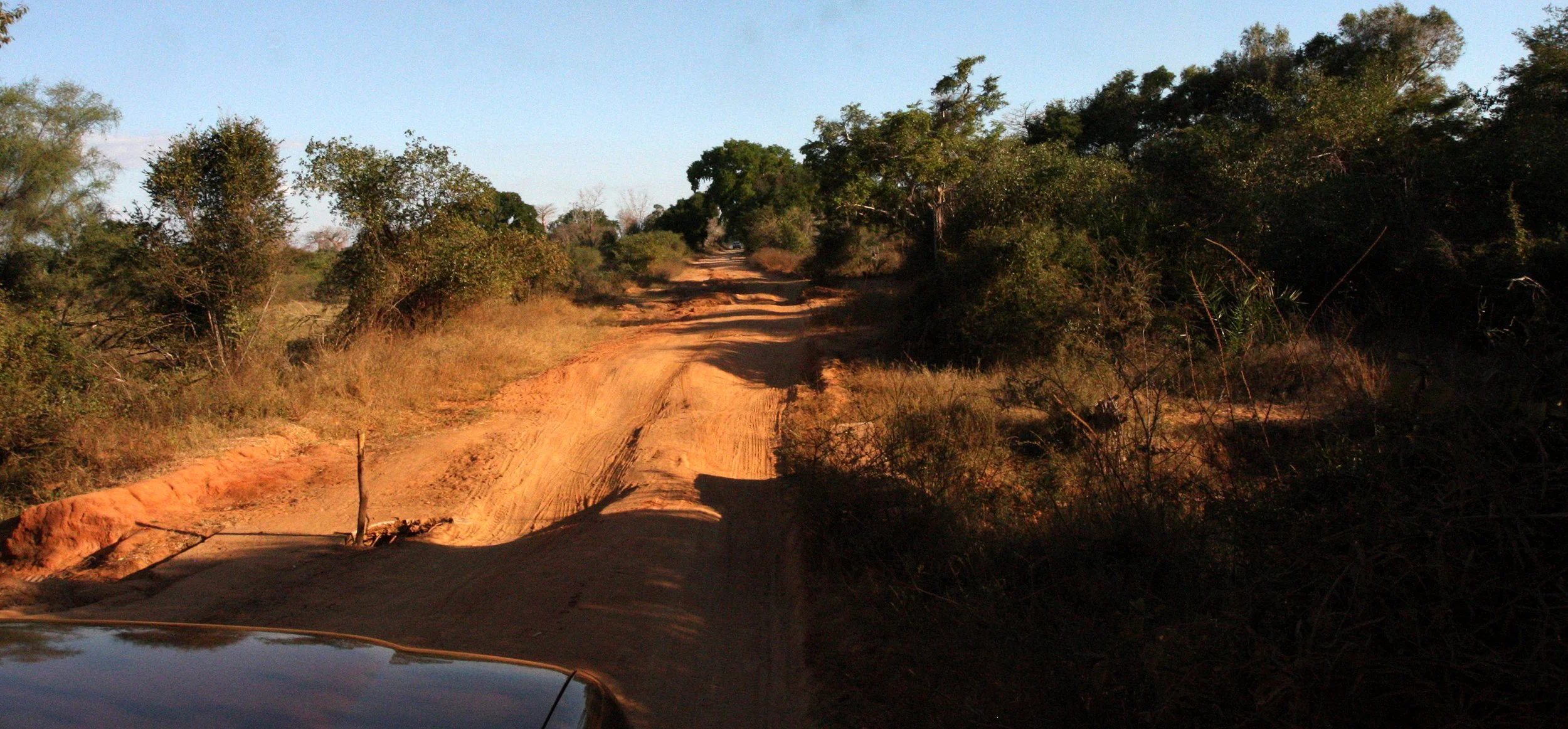 KIRINDY NATIONAL PARK MADAGASCAR - ROAD HELL (5).JPG