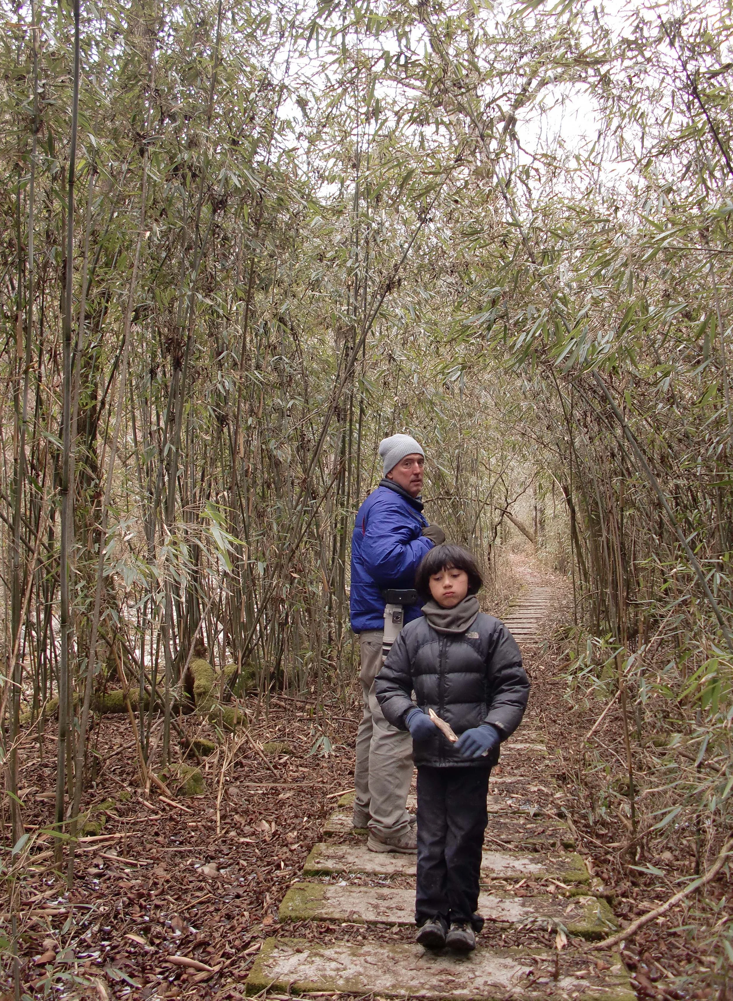 FOPING NATURE RESERVE - SHAANXI PROVINCE CHINA (68).JPG