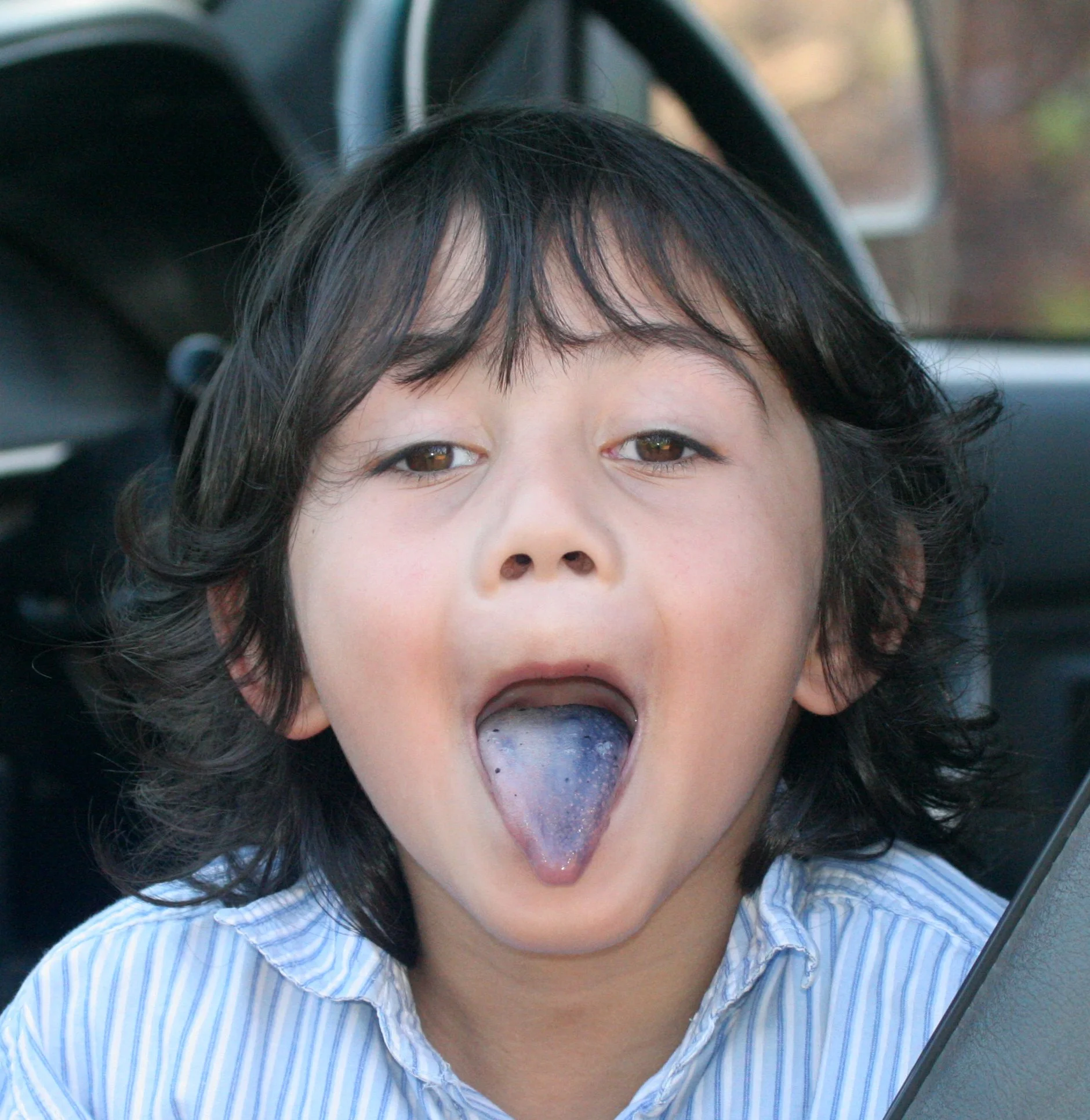 TABIN WILDLIFE RESERVE BORNEO - MILTONIA TONGUE.JPG