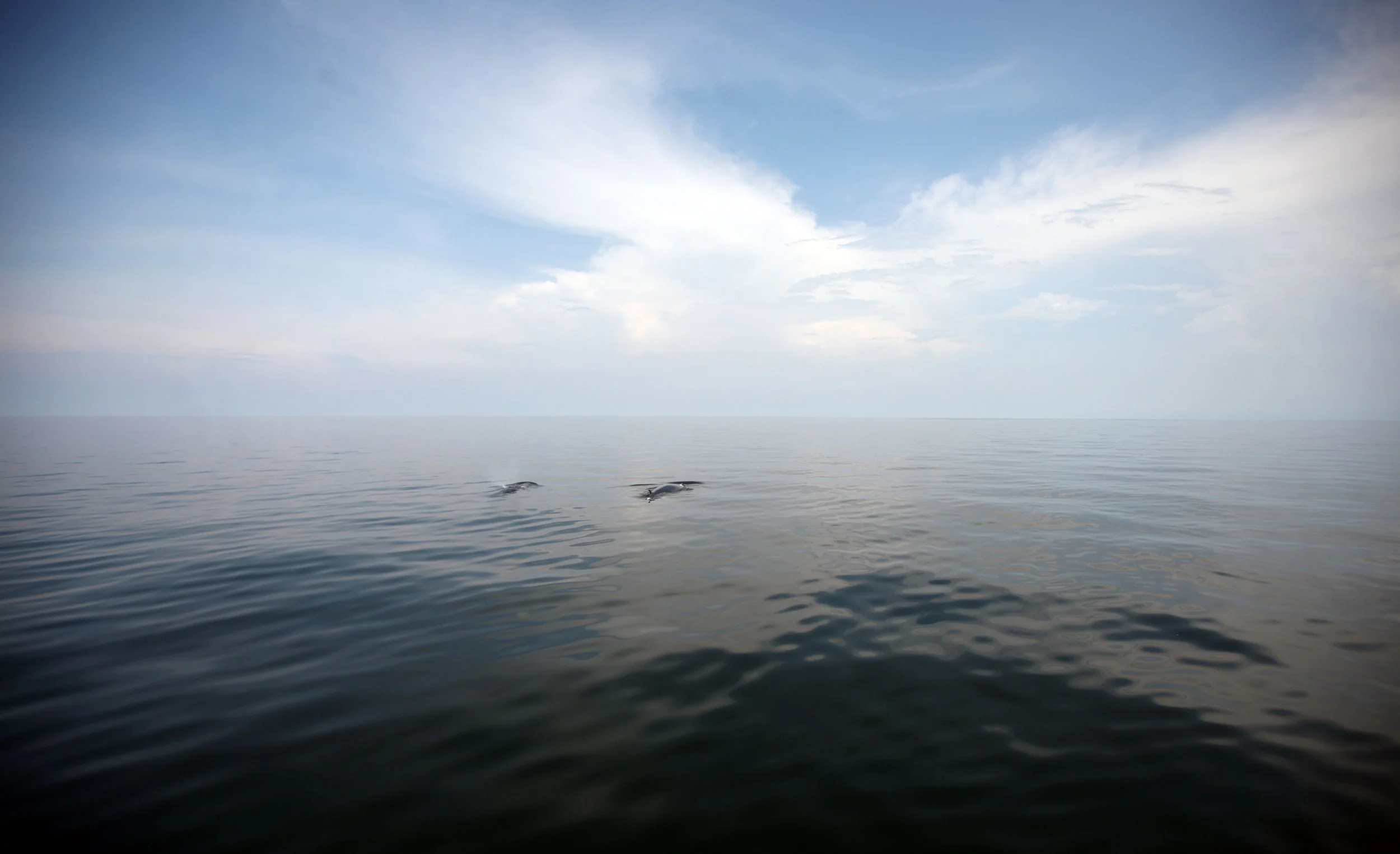 2014 Amphawa Trip to See Whales from Baan Taboon (64).JPG