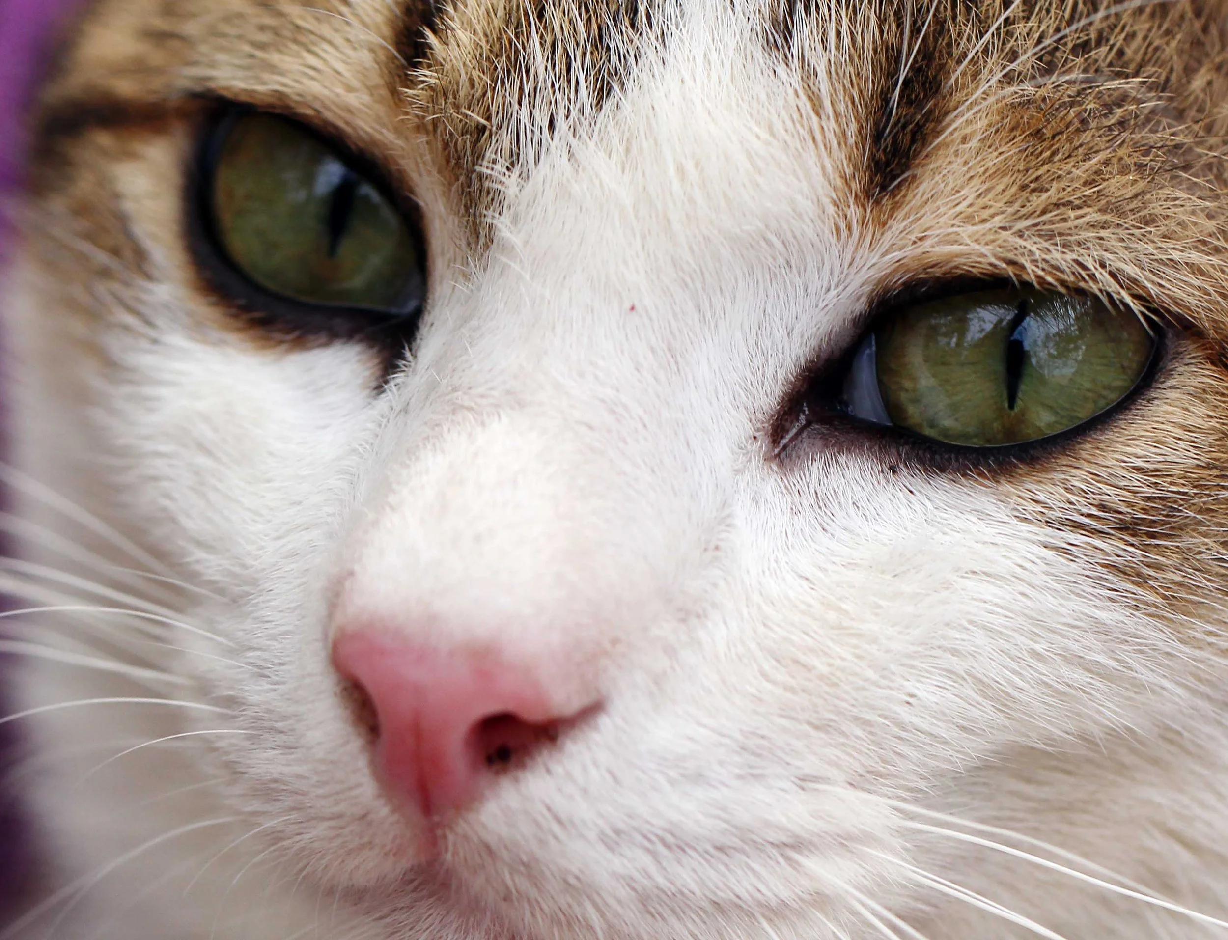 2015 Koh Lanta Songkran with friends from ISB (360).JPG