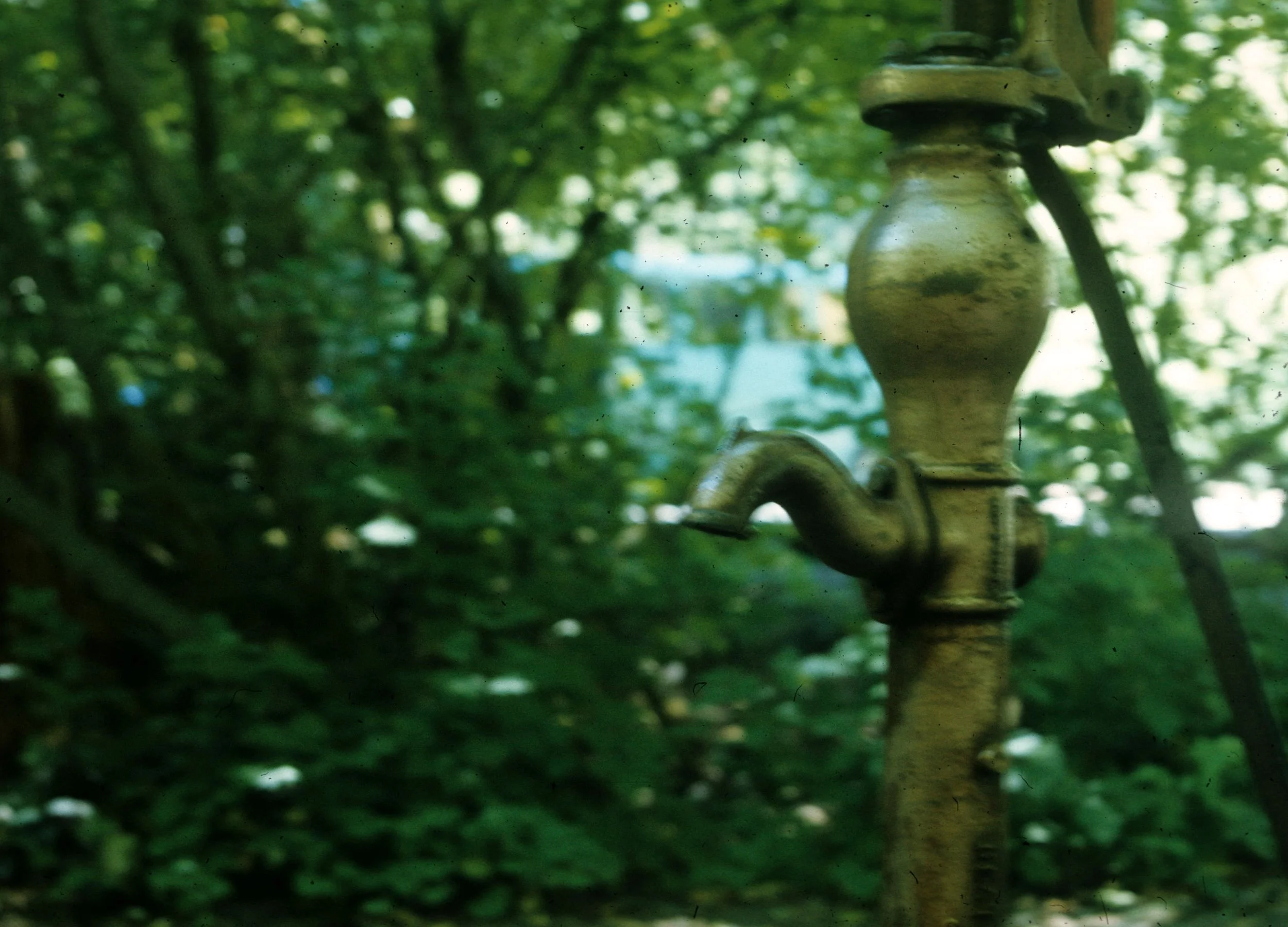 1977 - SUMMER TRIP - OREGON - ASHLAND PARK.jpg