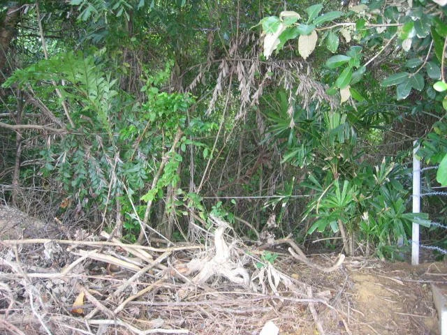 KOH LANTA - PROPERTY - 2005 (80).jpg