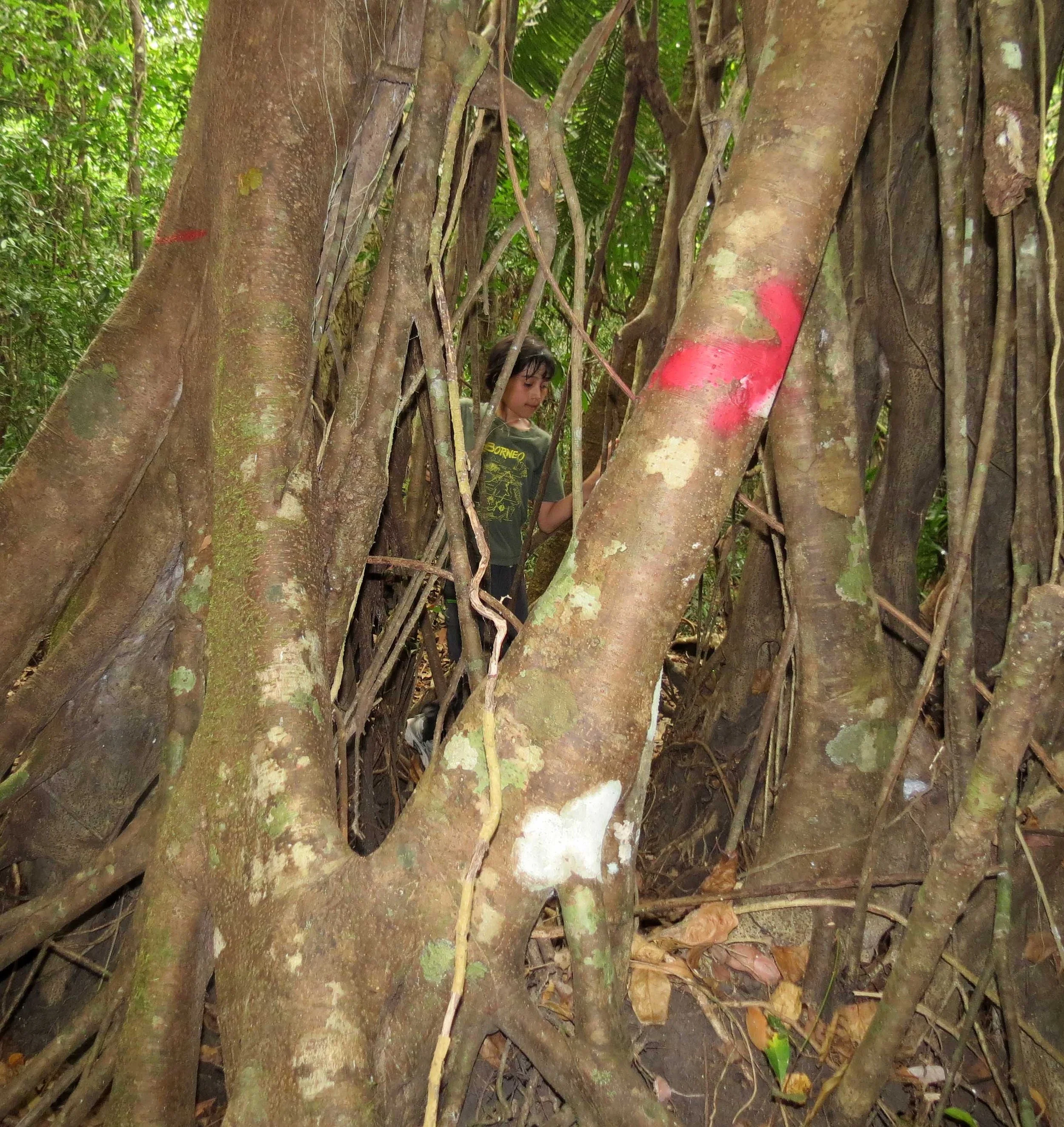 CAT TIEN NATIONAL PARK VIET NAM (61).JPG