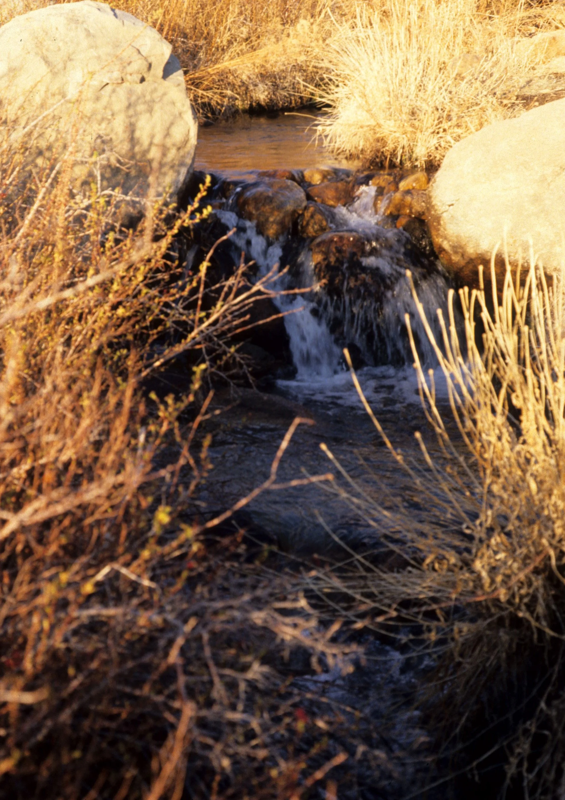 CALIFORNIA - MONO LAKE - LEE VINING CREEK.jpg
